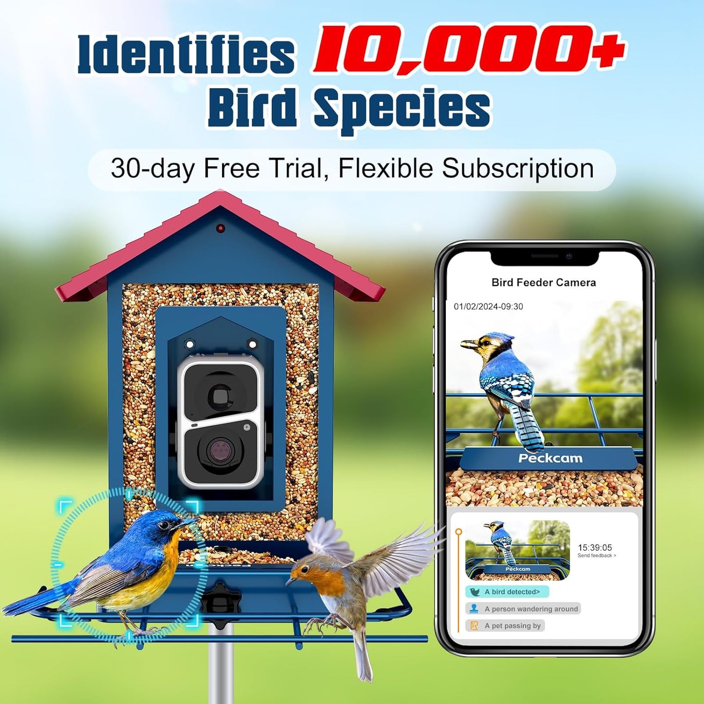 PeckCam® Bird Feeder with Camera, AI Identify 10000+ Birds, 2K HD Vide