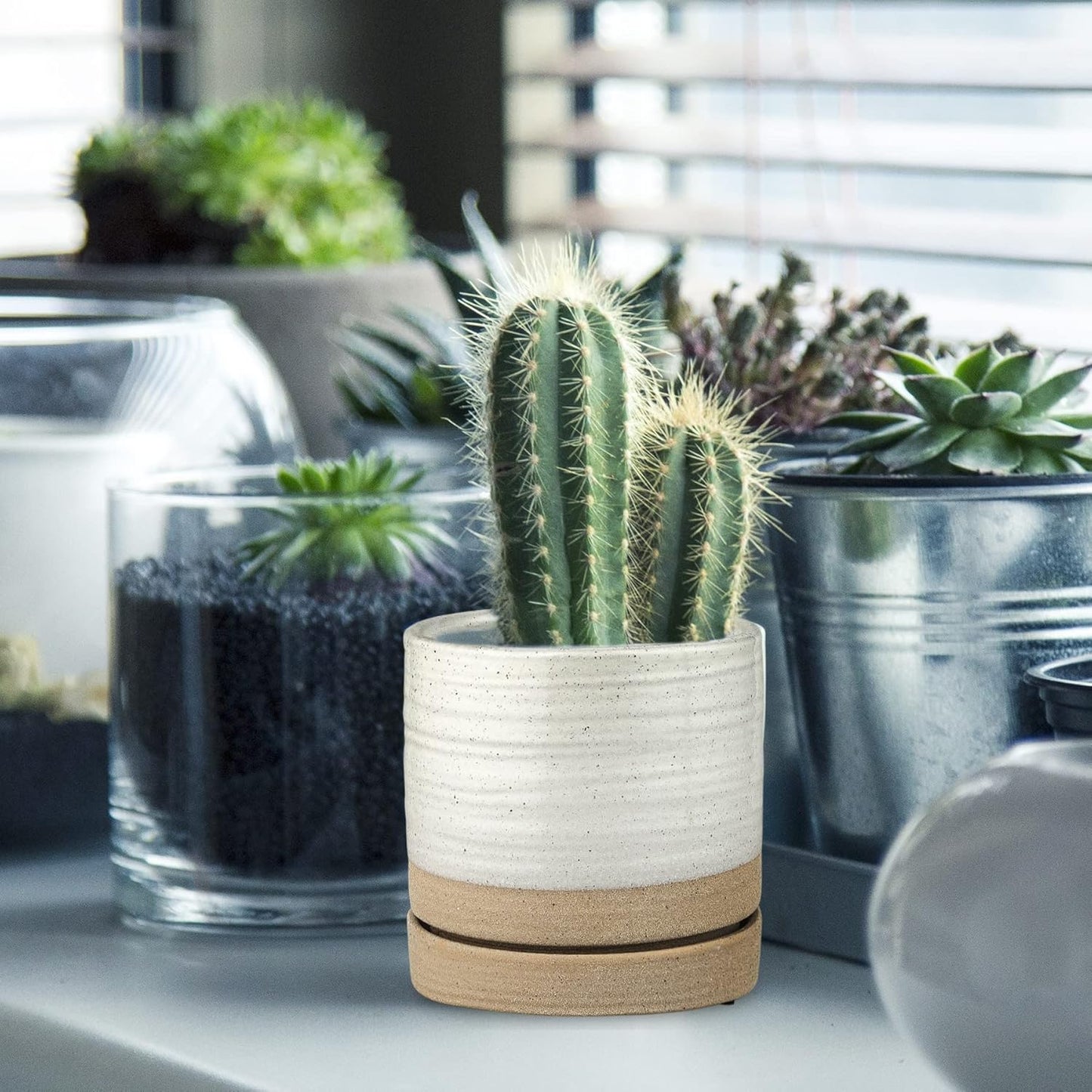 6 Inch Plant Pots, Ceramic Planter Pot with Drainage Hole & Saucer, In