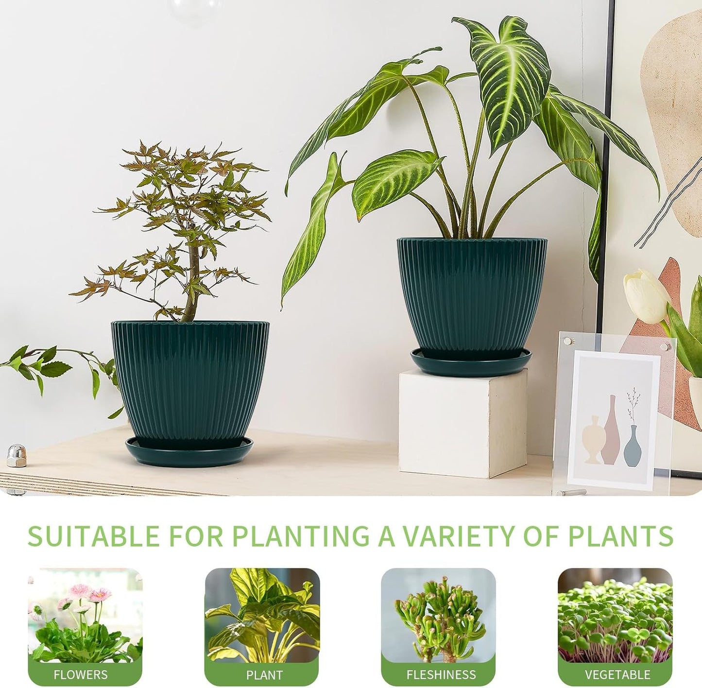 Plant Pots Indoor with Saucers & Drainage - 6 Pack Flower Pots - Plast