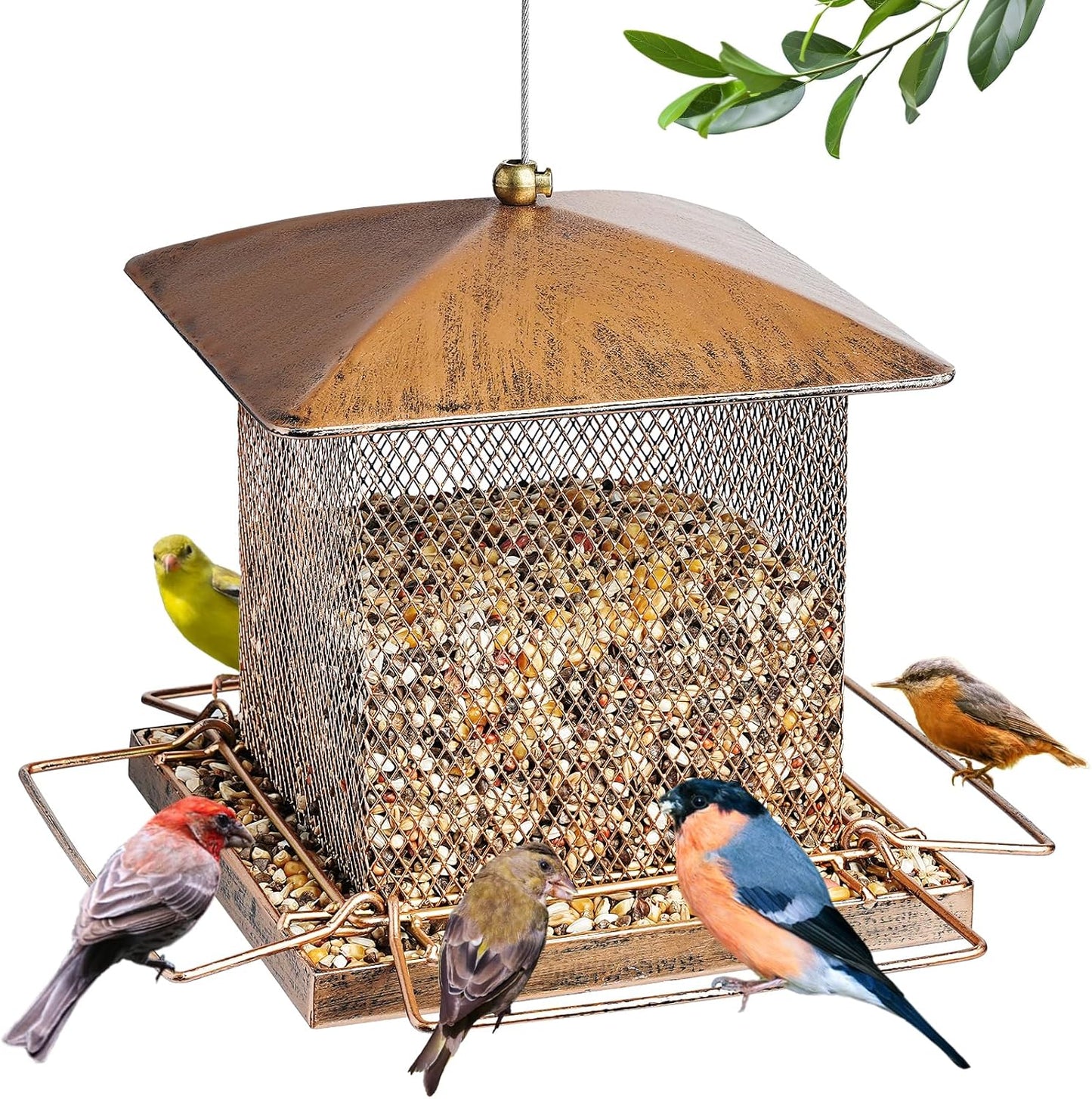 Bird Feeder, Heavy Duty Metal Bird Feeders for Outdoor Hanging, Wild Birdfeeder with Buckle for Garden Yard Outside Backyard, 3.5LB Large Capacity