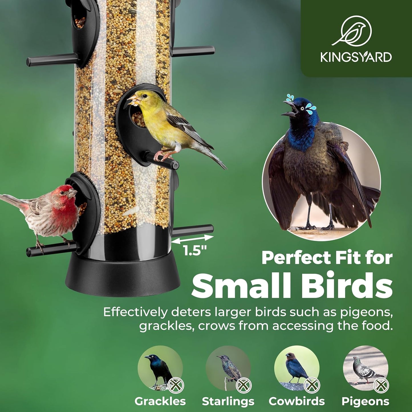 Kingsyard Tube Bird Feeders for Outdoors Hanging, Wild Bird Feeder with 6 Feeding Ports, Easy to Clean & Refill, 2 lbs Seed Capacity, Great for Attracting Finches, Cardinals (Black)