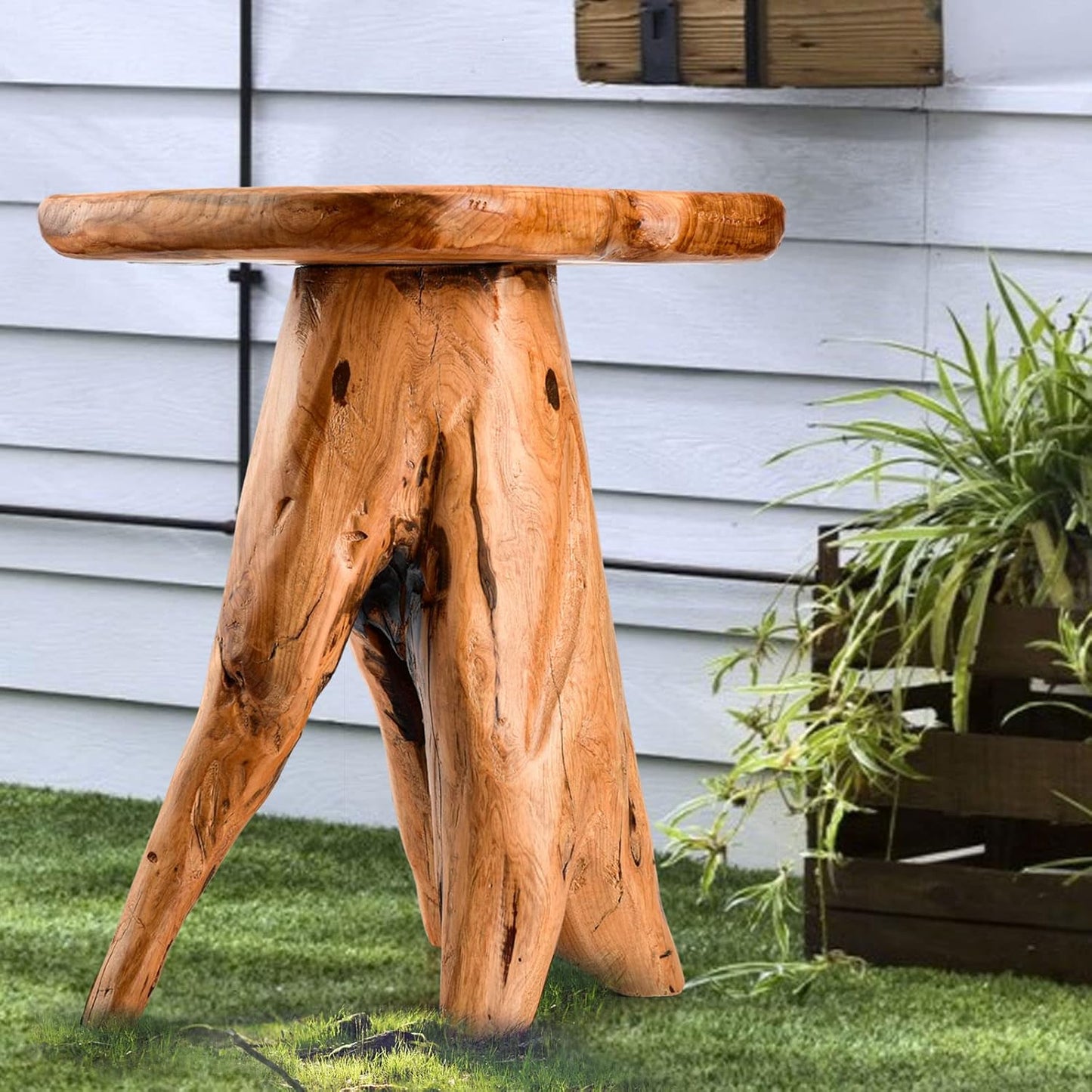 Mushroom Side Table, 18.9 inch Tall Live Edge Wood Stool, Freeform Natural Plant Stand for Garden, Yard, Living Room, Bedroom