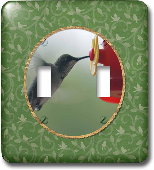 3dRose lsp_274408_2 Hummingbird at Feeder in Round, Birds on Branches, Green Toggle Switch