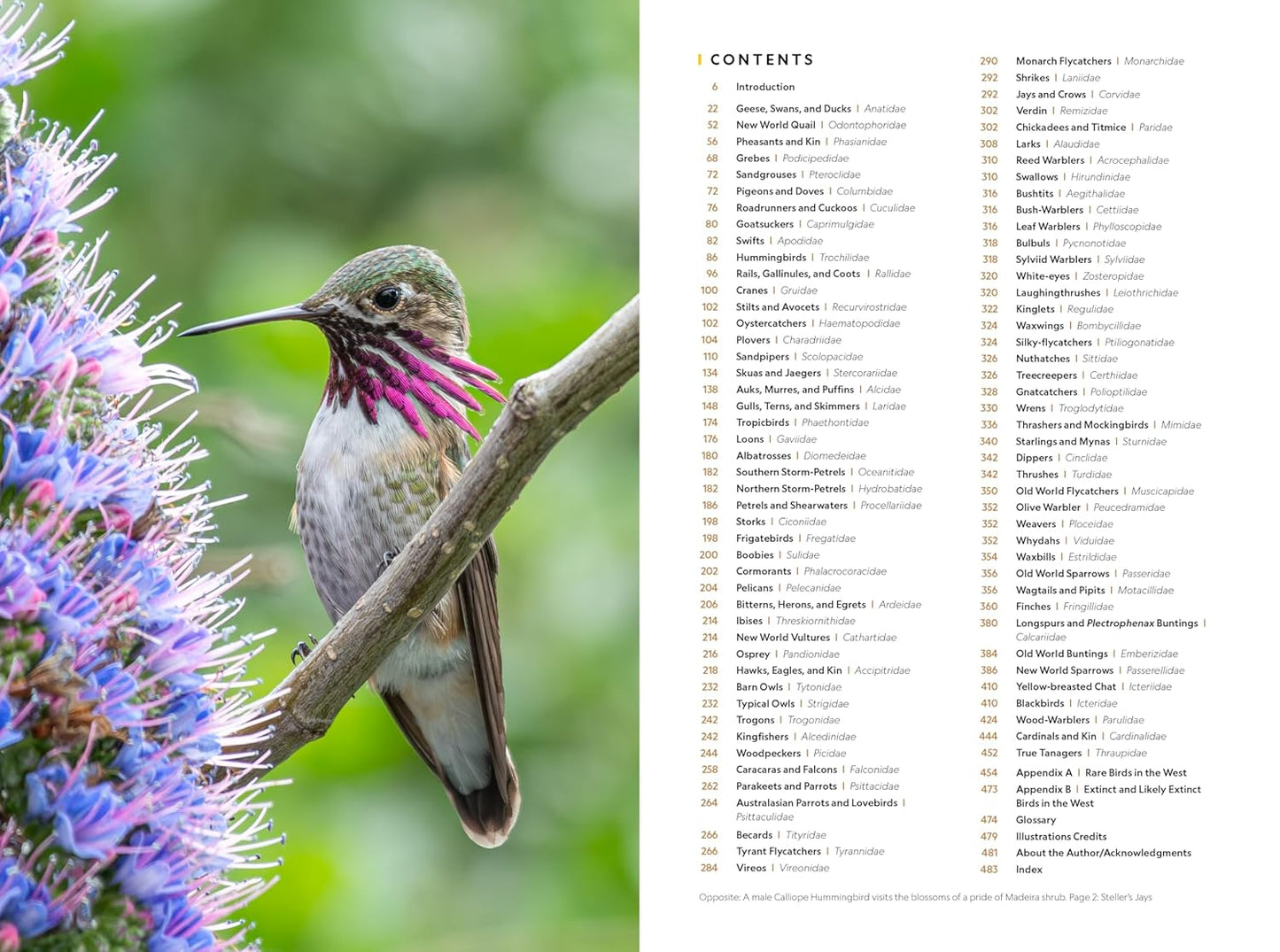 National Geographic Field Guide to the Birds of the United States and Canada―West, 2nd Edition