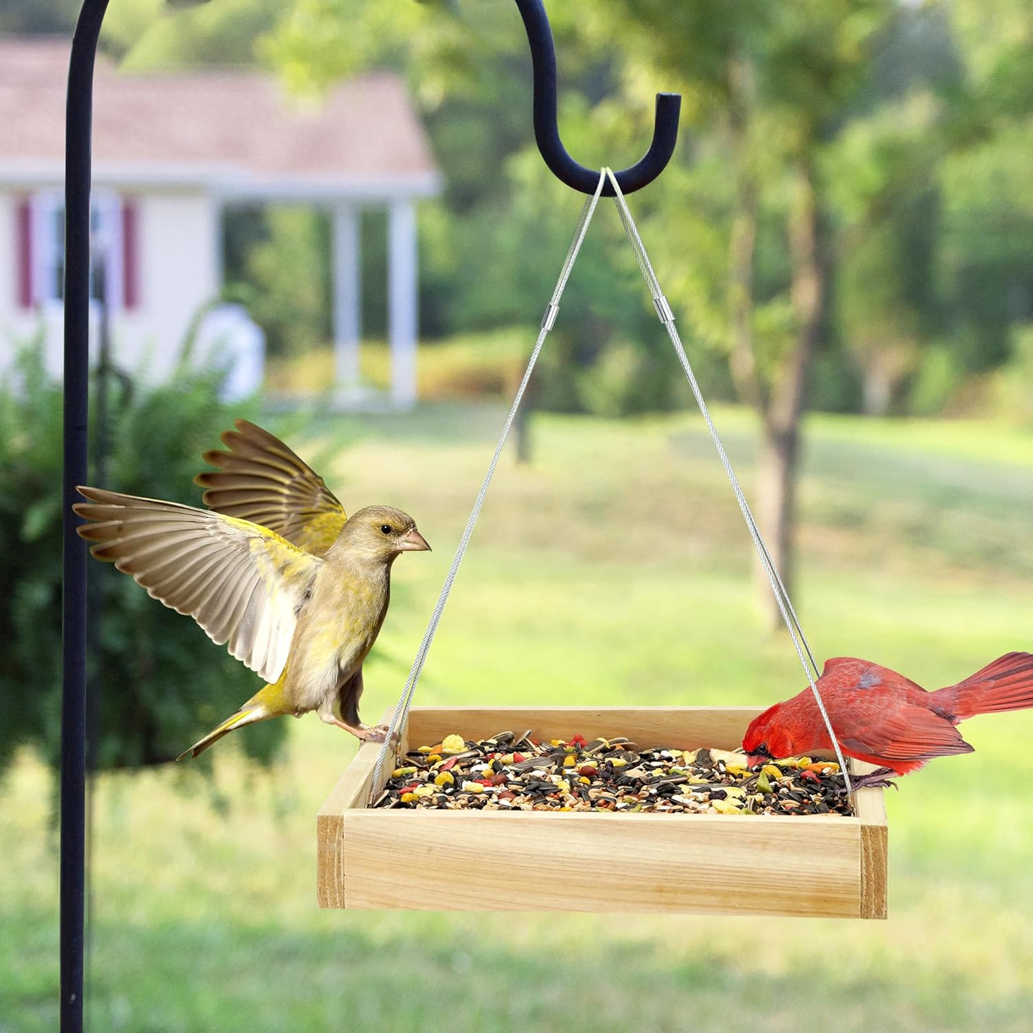 TT Nature Platform Bird Feeder for Outdoor, Eco-Friendly Wood Hanging 