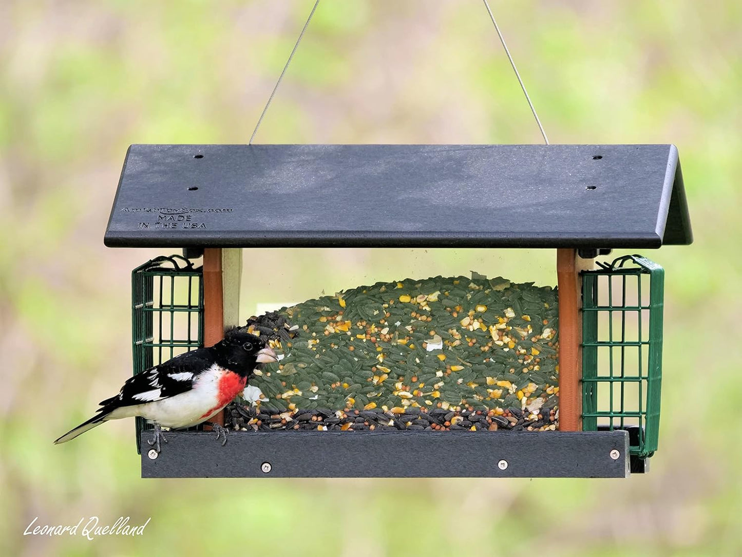 AmishToyBox.com Deluxe Bird Feeder with Suet Holders, Made with Eco-Friendly Poly Lumber (Black/Cedar)