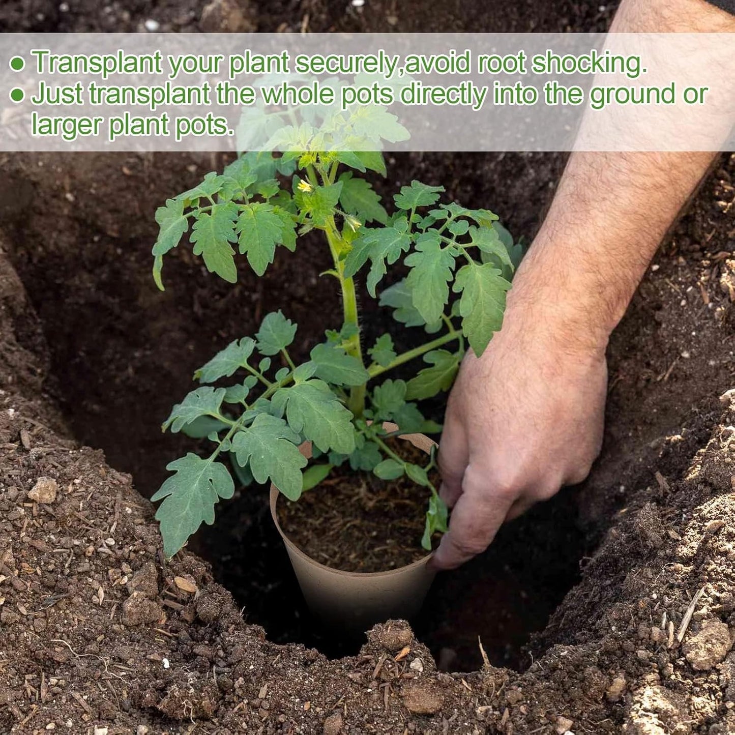 60-Pack 4” Biodegradable Peat Pots with 60 Plant Labels - Eco-Friendly