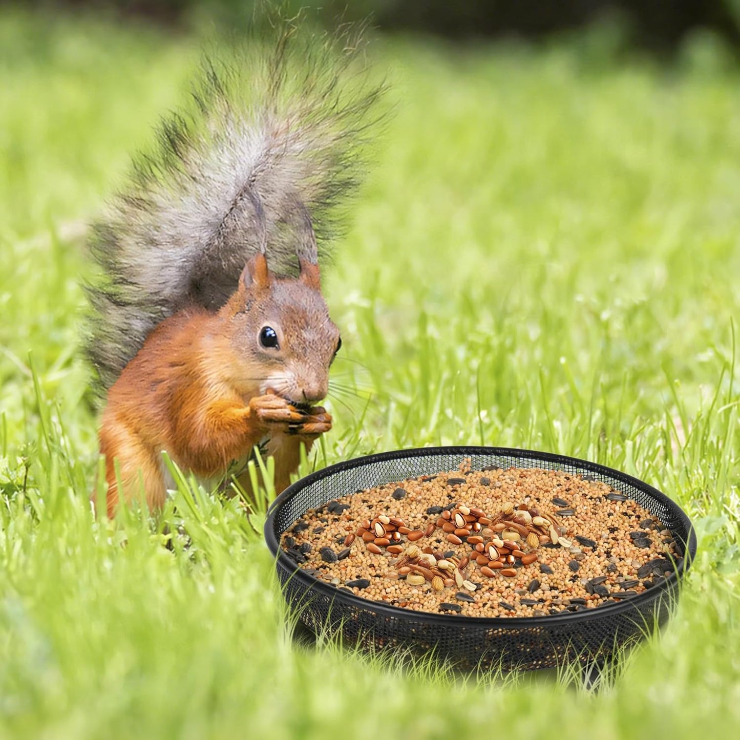 4 Pcs 7 Inch Metal Ground Bird Feeder Tray with Mesh Platform for Outdoor Wild Birds and Squirrels Featuring Rust Resistant Design for Garden Yard and Patio Use (Round)