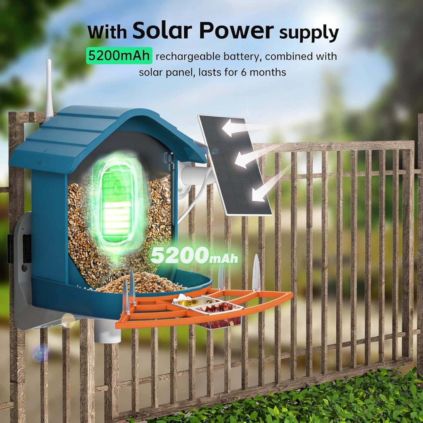 Bird Feeder with Camera, AI Bird Identification, Full HD Live Video, Solar Powered, 2.4Ghz WiFi, Instant Arrival Alerts