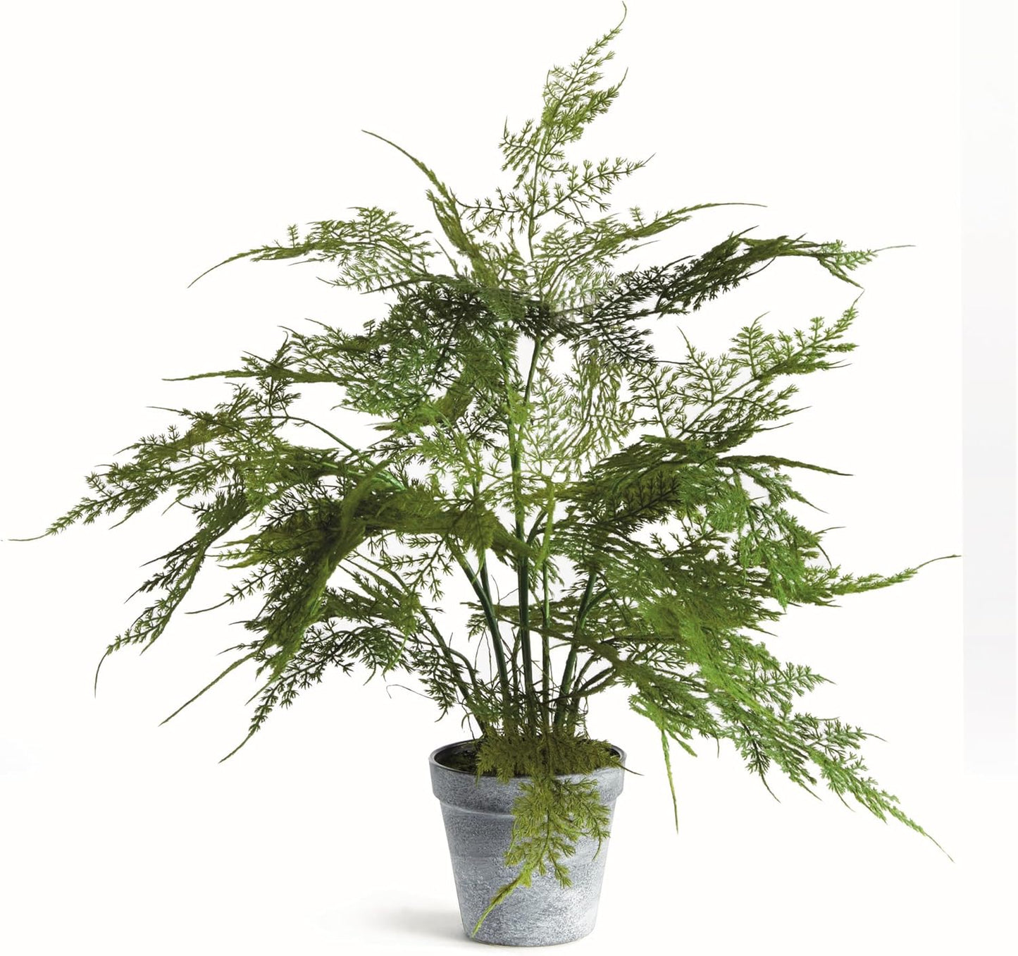 NAPA Home & Garden Plumosa Fern Drop-in 17" Artificial Plant for Interior Use