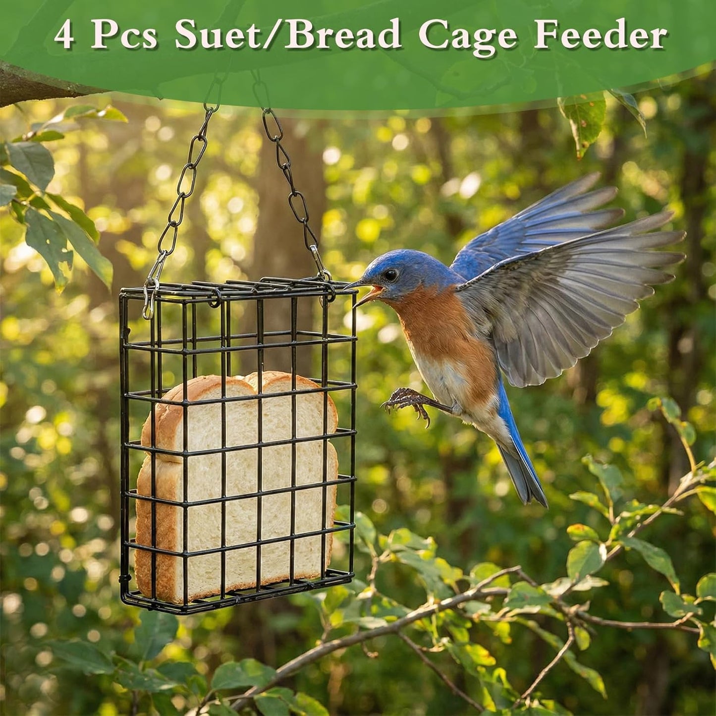 4 Pcs Suet Bird Feeders for Outside Hanging, Metal Wild Bird Food Cage with Heavy Duty Chain & Secure Latch, Single Suet Cake, One Suet Capacity for Suet Cakes Bread Fruit