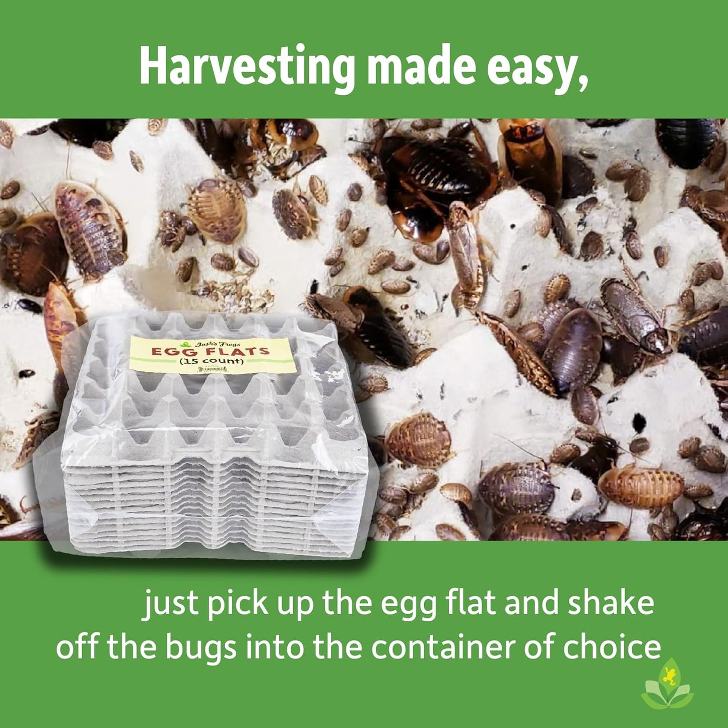 Josh's Frogs Egg Flats for Feeder Insect Colonies (15 Count)