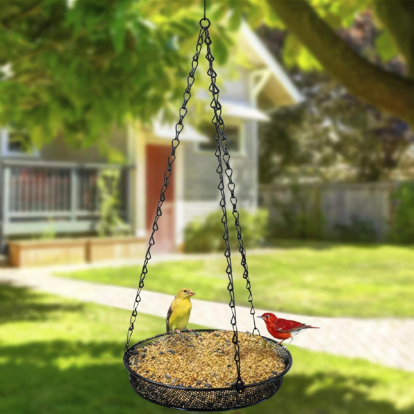 Wild Bird Feeder Tray - 7 InchHanging Steel Dish for Durable Outdoor Garden & Yard, Attracting Birds with Strong Mesh Platform and Chains - Ideal Gift for Dad