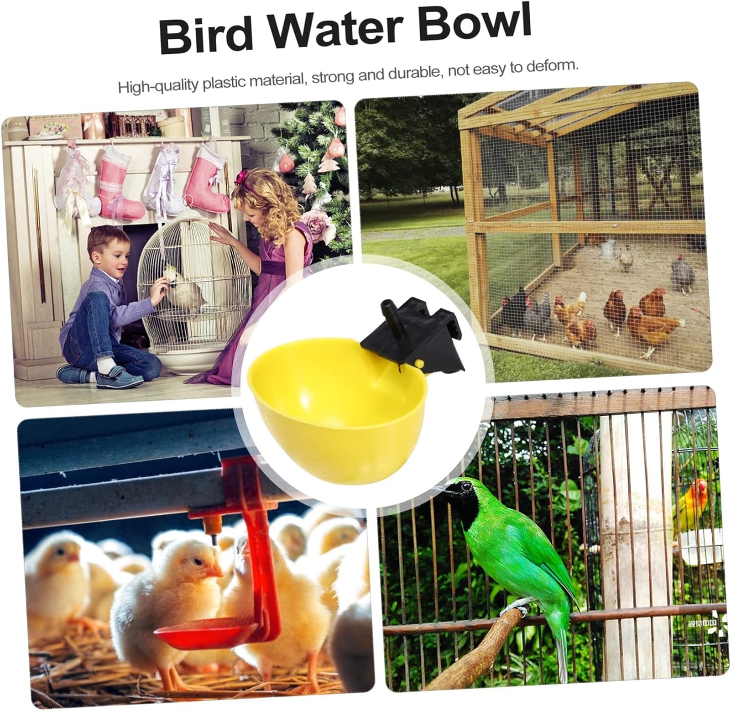 Milisten 10pcs Automatic Pigeon Water Feeders Drinking Bowls for Quail