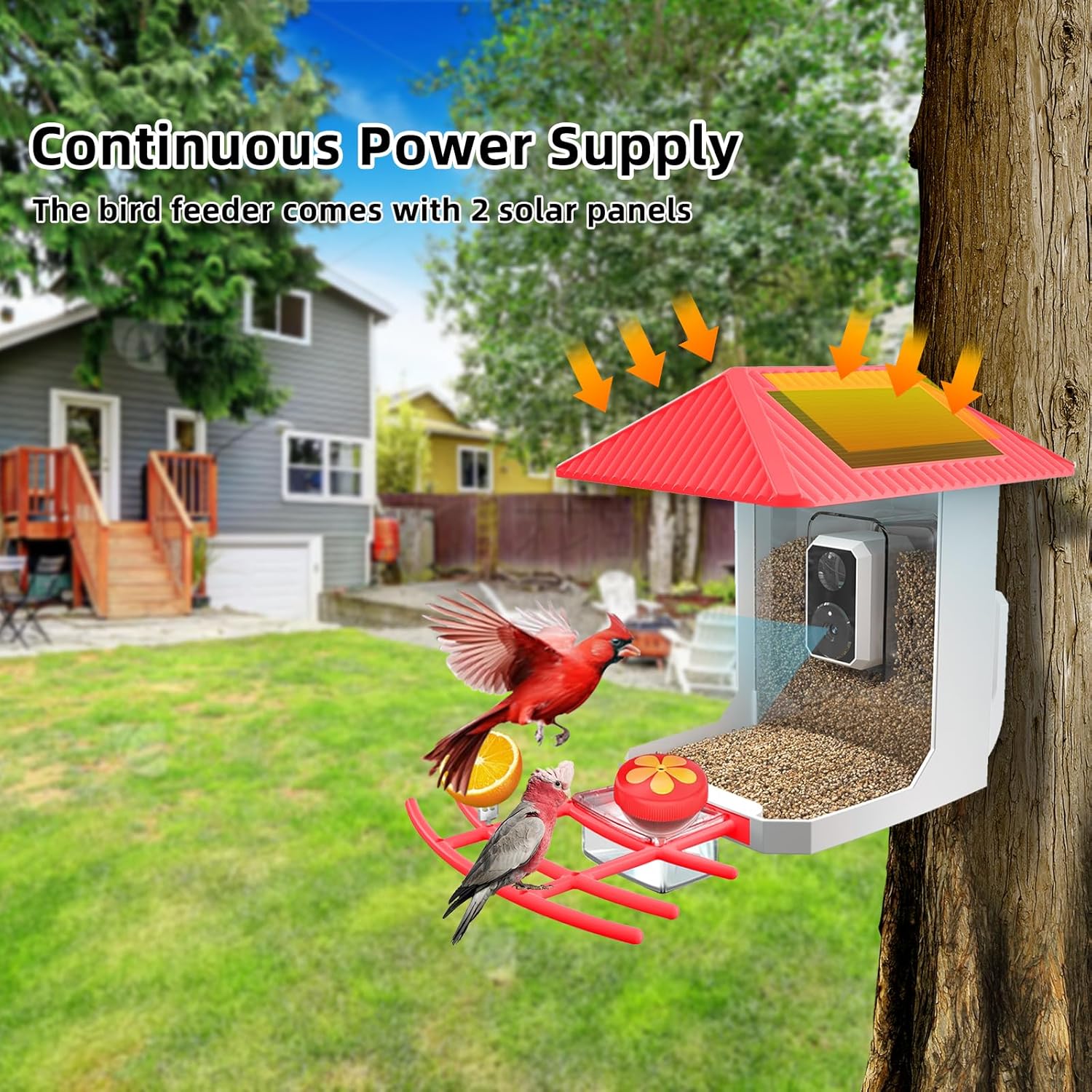 2K Smart Bird Feeder with Camera, 2.5L Ai Smart Bird House for Outdoor