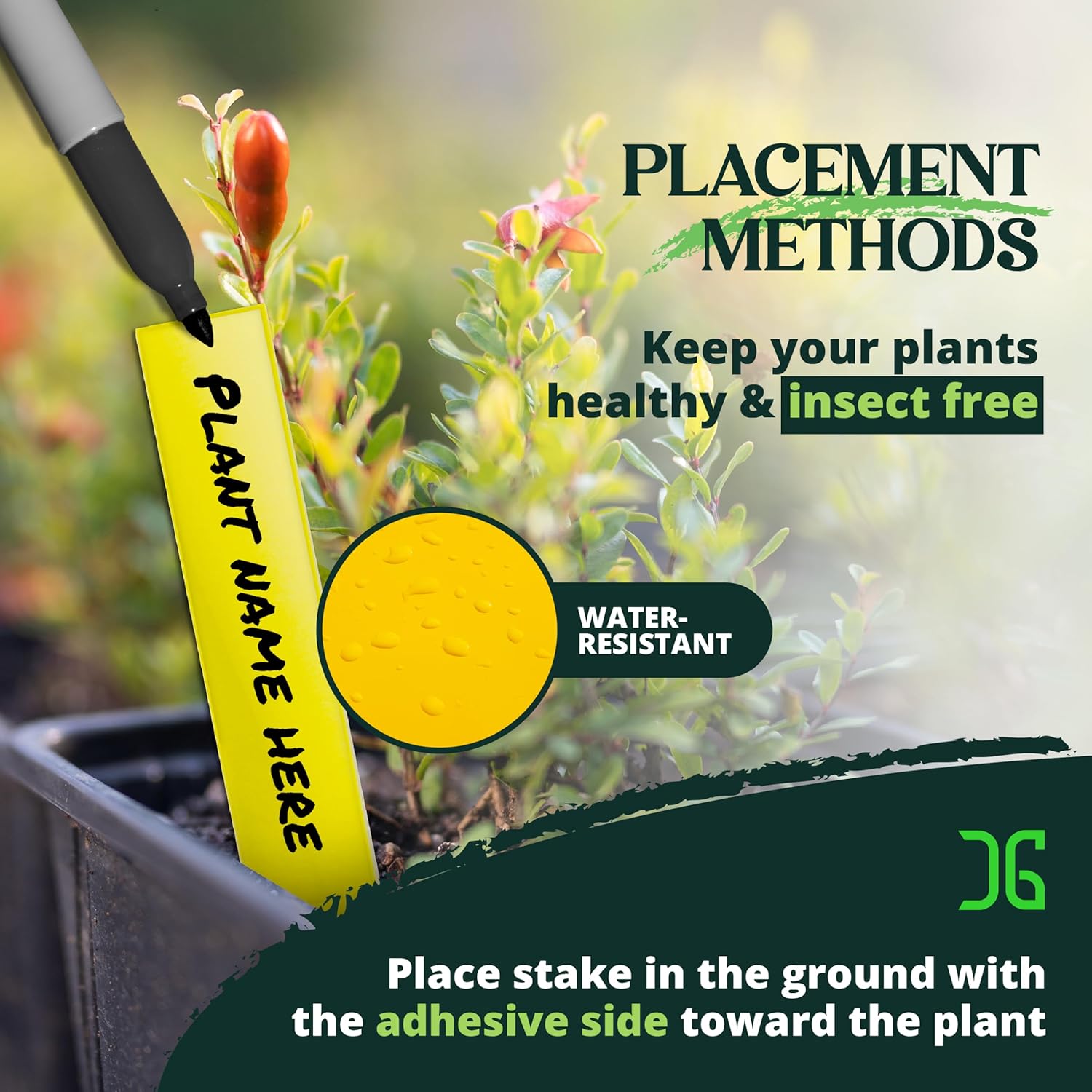 Catchmaster Dual Action Plant Labels 100 PK, Sticky Insect Trap Plant 