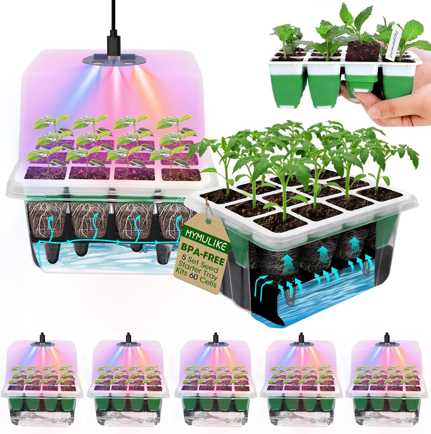 Seed Starter Tray with Grow Light,5 Pack 60 Cells Seedling Tray Kit Re