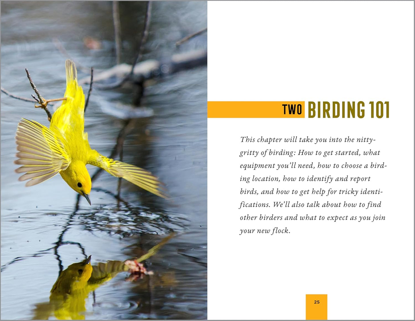 North American Bird Watching for Beginners: Field Notes on 150 Species to Start Your Birding Adventures (Bird Watching Adventures)