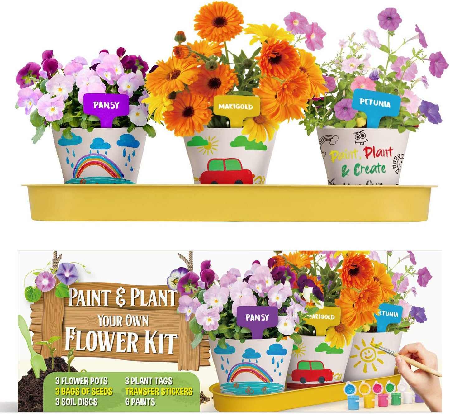 XX Paint & Plant Flower Growing Kit for Kids - DIY Arts & Crafts Garde