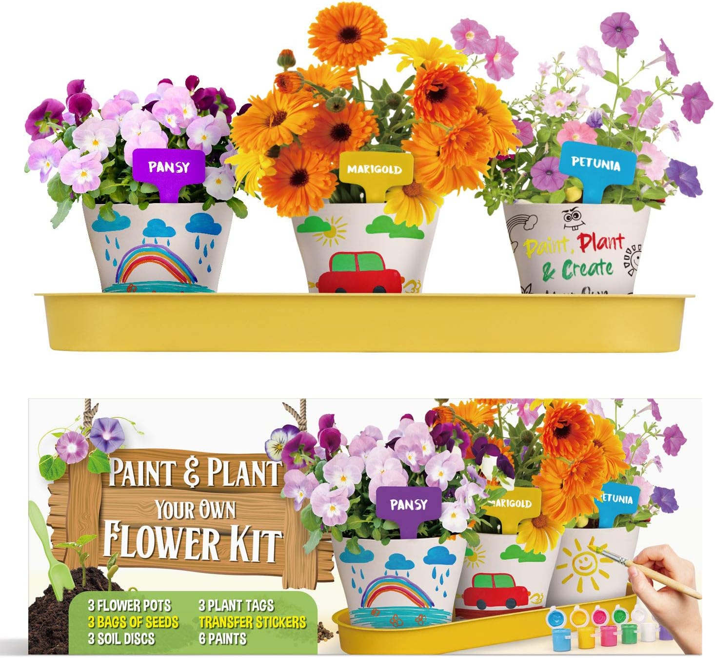 XX Paint & Plant Flower Growing Kit for Kids - DIY Arts & Crafts Garde
