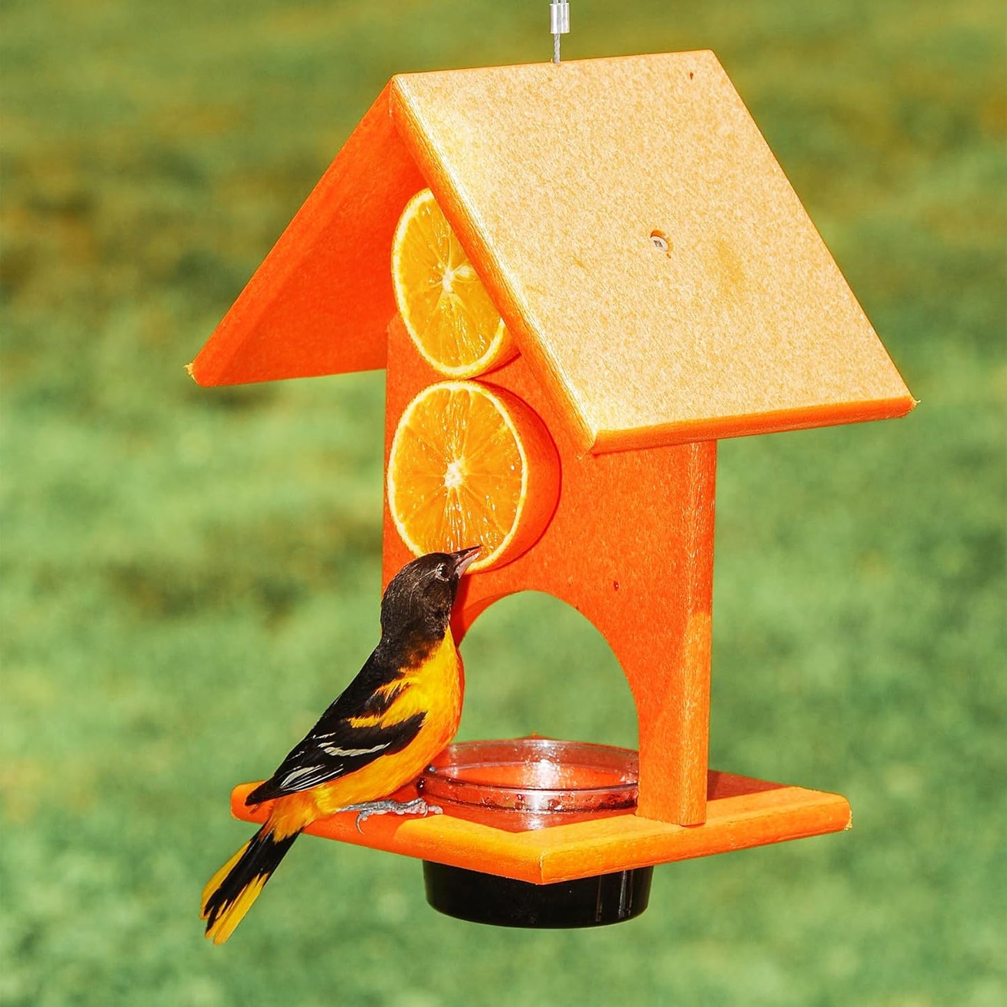 Songbird Essentials SERUBFJF Fruit and Jelly Oriole Feeder (Set of 1)