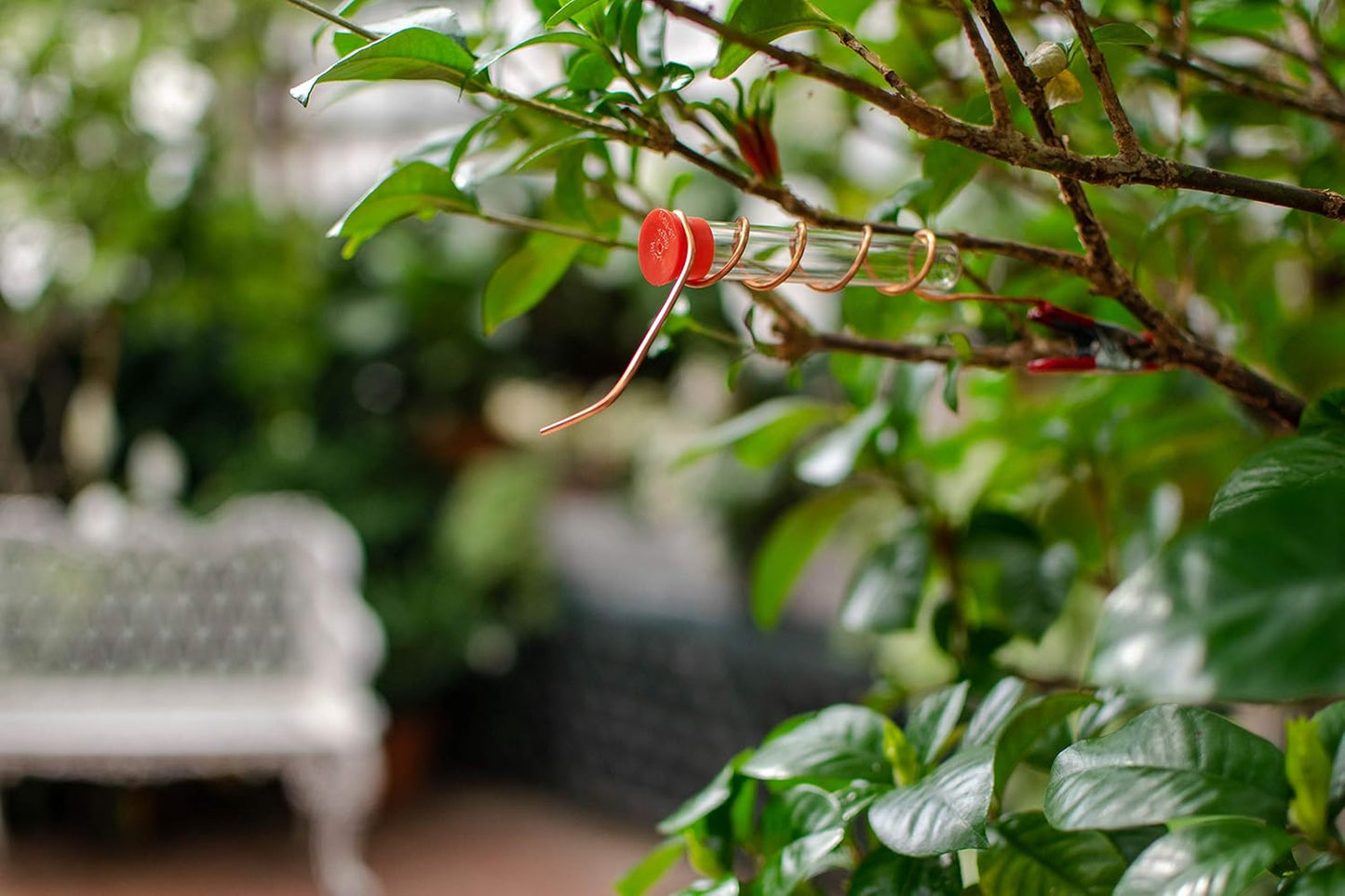 RELODECOR Hummingbird Feeder Tubes with Red Cap for Hummingbird Feeders 12 Pack