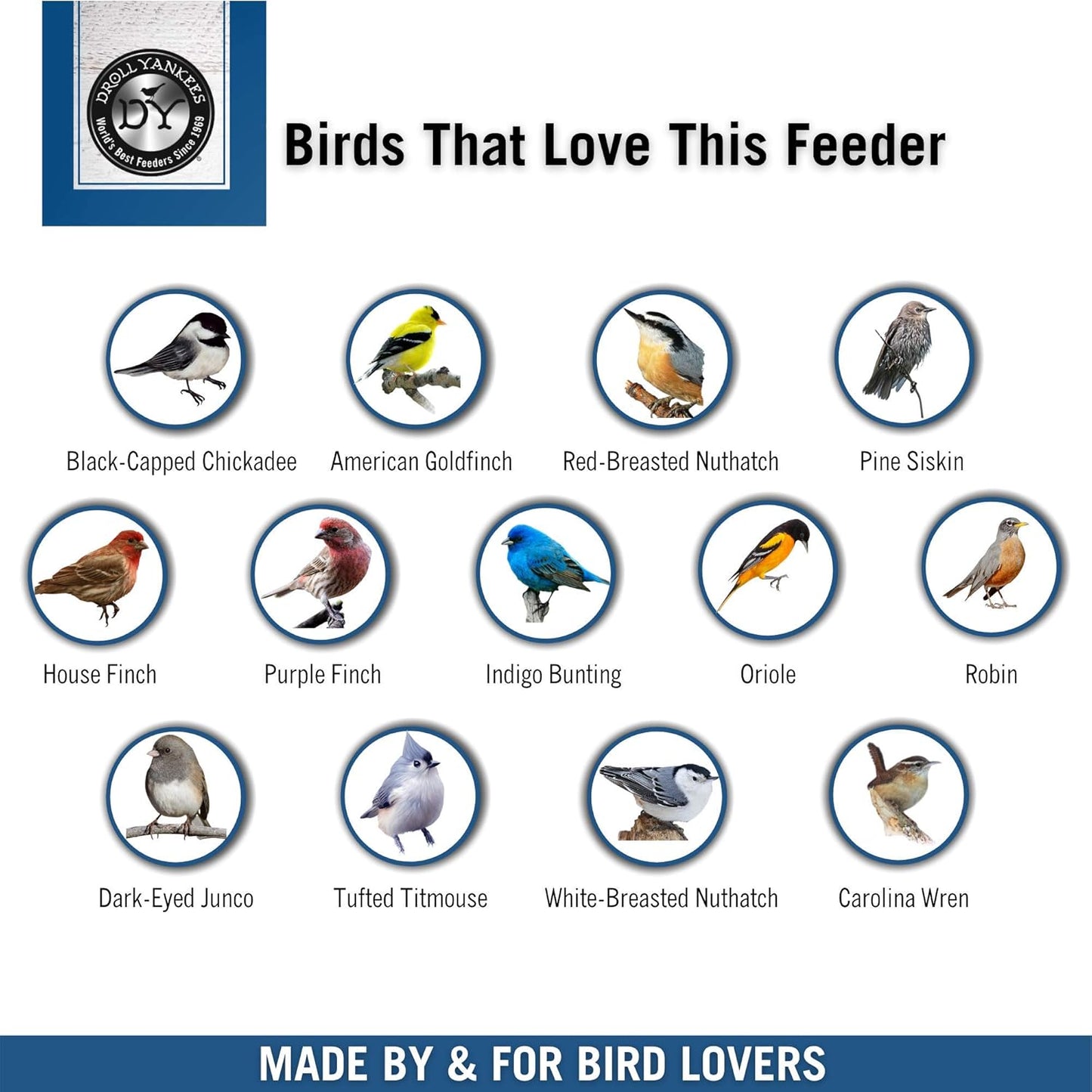 Droll Yankees Observer Window Bird Feeder with Suction Cups, 2 Cup Capacity, Clear