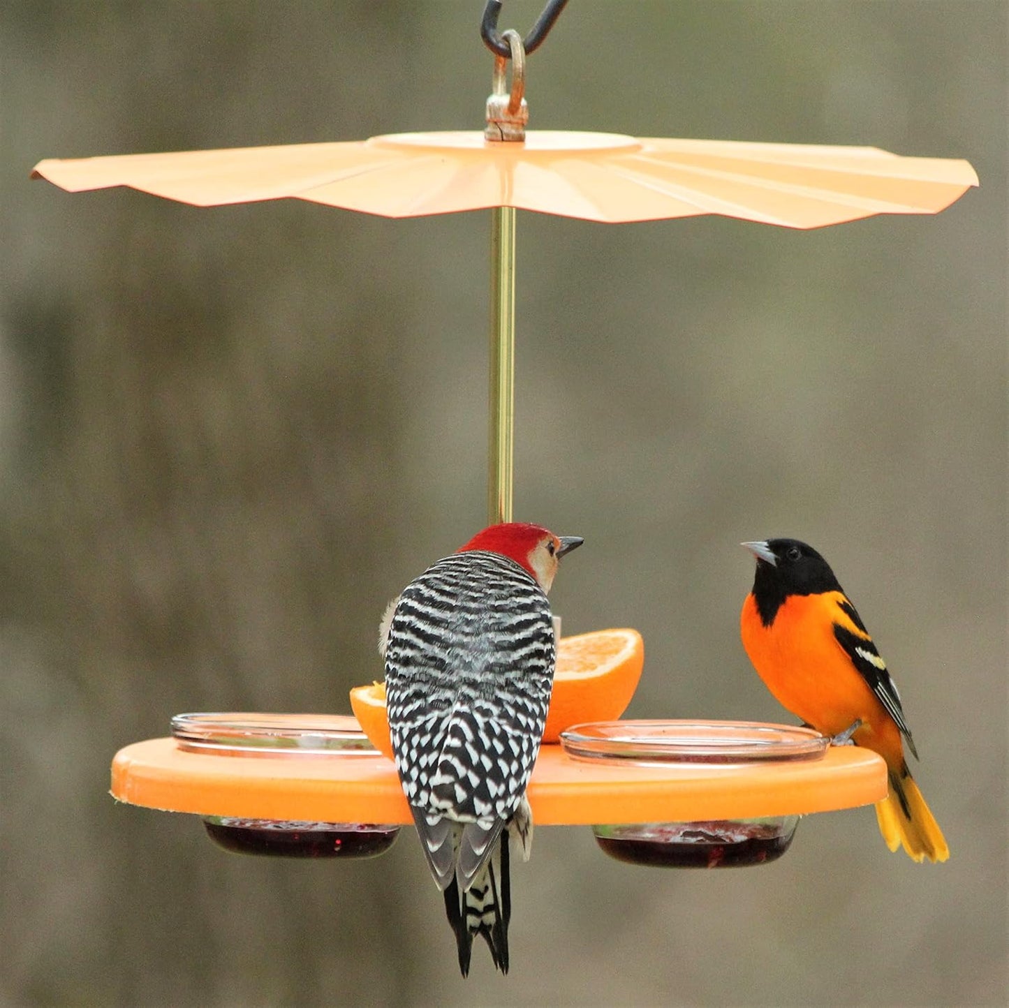 Kettle Moraine Super Oriole Recycled Orange Fruit, Jelly, Mealworm Bird Feeder w/Orange Roof