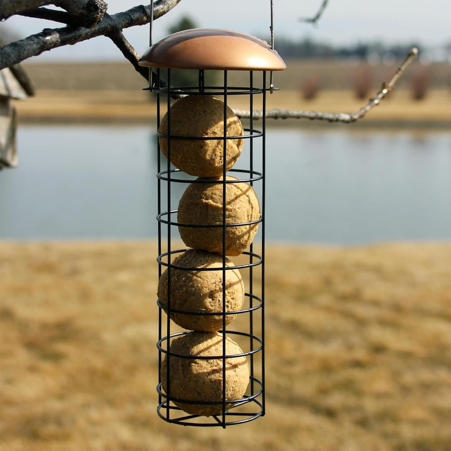 C&S Wild Bird Food Suet Dough Balls Feeder