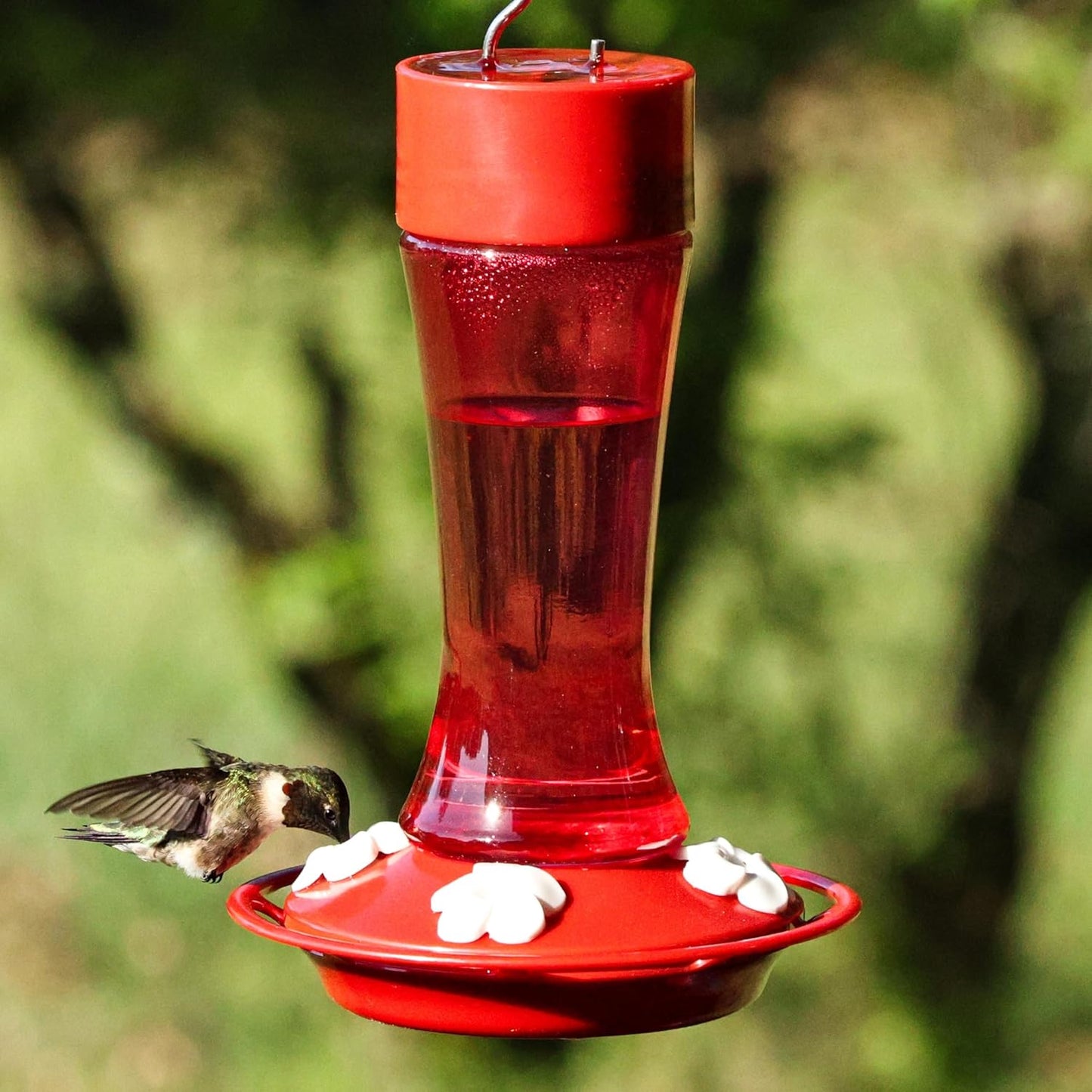 Nature’s Way Crimson Silhouette Glass Gravity Hummingbird Feeder for Outdoor Décor, 11 oz Capacity Nectar Feeder, 4 Leak-Free Flexible Ports with Built-in Ant Moat, Red