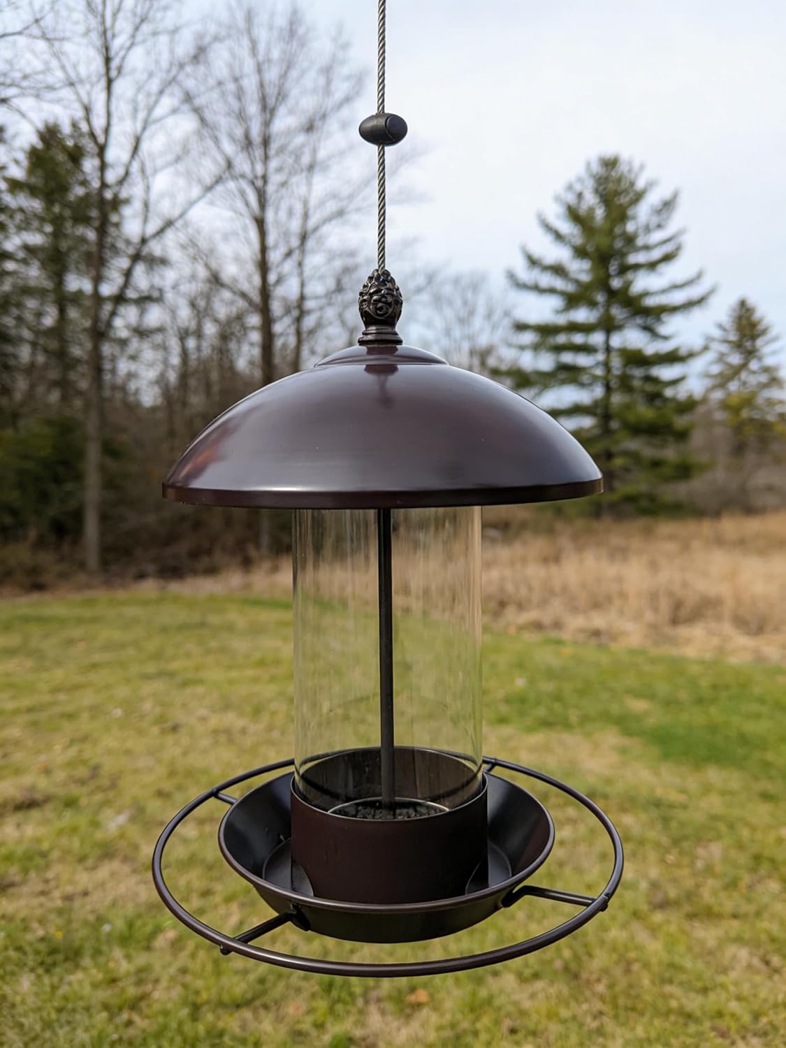 Metal Bird Feeder for Outdoors Hanging - Squirrel Proof & Chew Proof Wild Bird Feeders - Heavy Duty Vintage Lantern with Rain Guard for Cardinal, Blue Jay, Finch (Bronze)