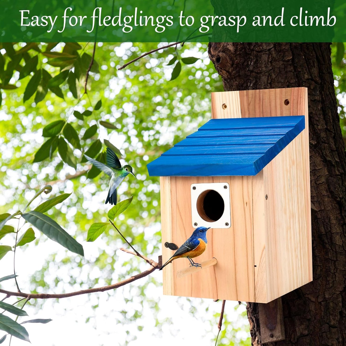 4-Pack Blue Wooden Bird Houses for Outdoors with Predator Guard, Blueb