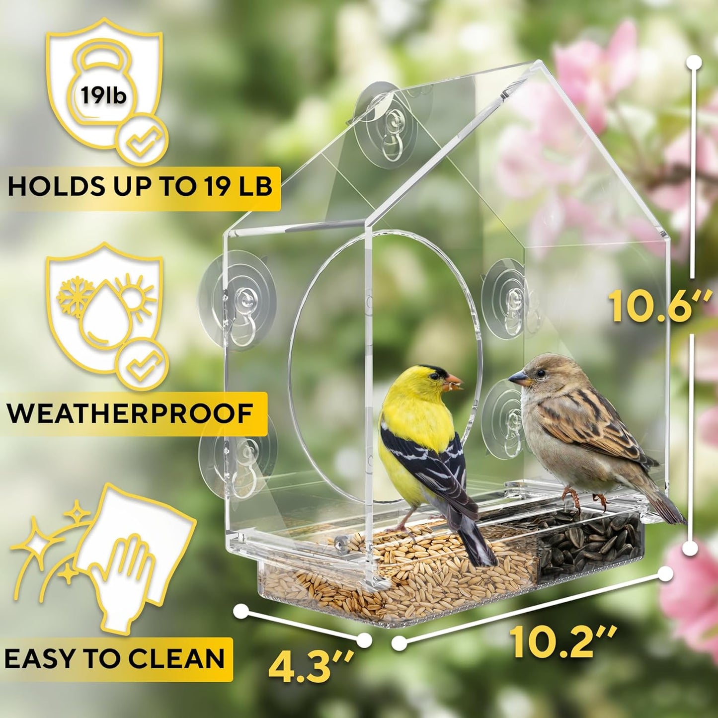 Premium Window Bird Feeder for Outside - Clear Bird House w/Largest Window for Viewing Birds - Easy to Install & Sturdy Feeder w/Extra Strong Suction Cups - Perfect for Kids, Adults and Cats