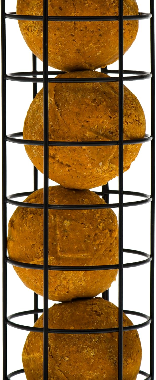 C&S Wild Bird Food Suet Dough Balls Feeder