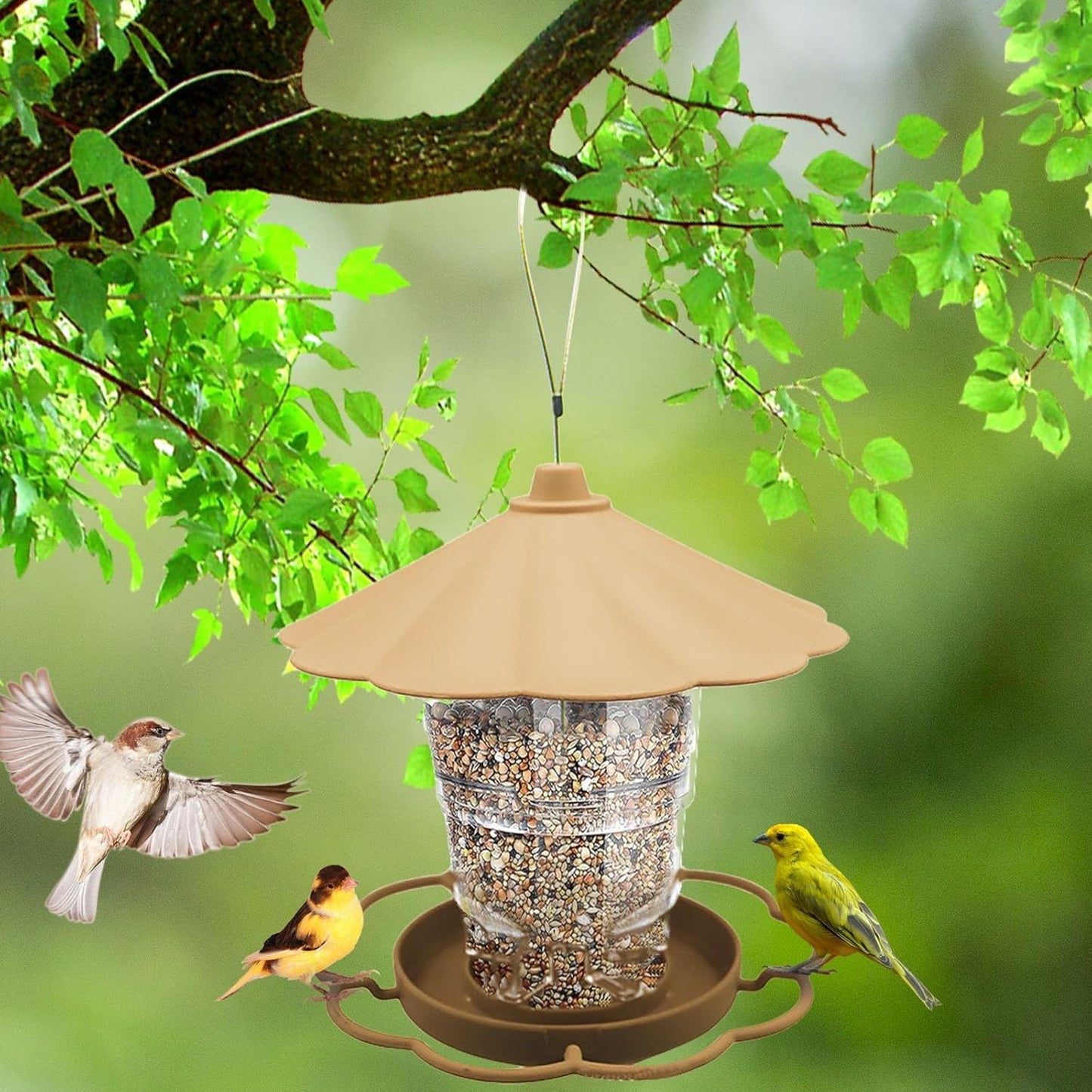Bird Feeders for Outdoors, 3.5LB 360 Degree Plastic Large Capacity Squ