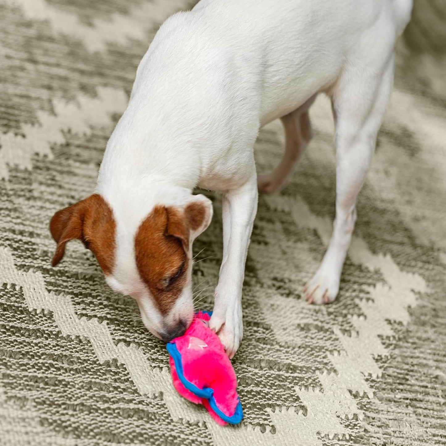 Outward Hound Durablez Minis – Squeaky Plush Dog Toy, No Stuffing for 