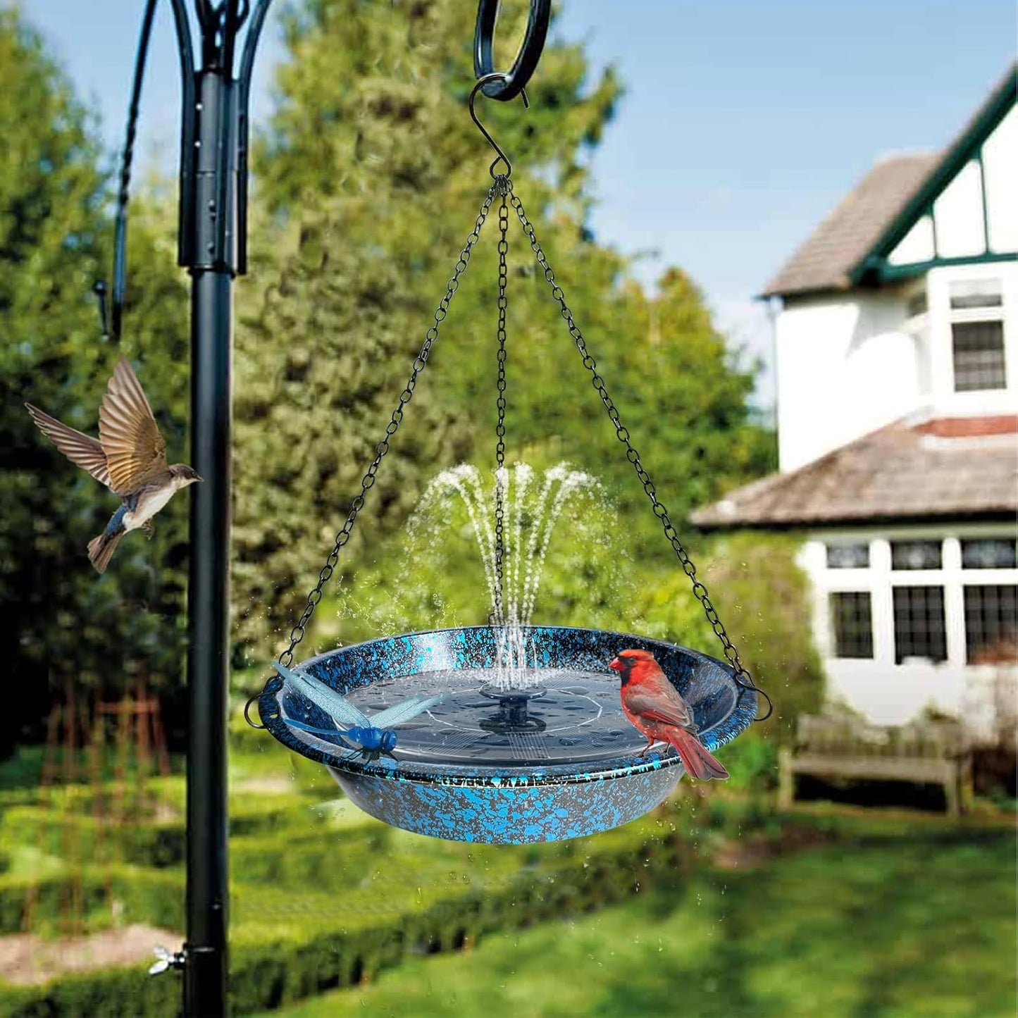 Hanging Bird Bath for Outdoors 11.4 inch Birdbath Bowl Window Birds Fe