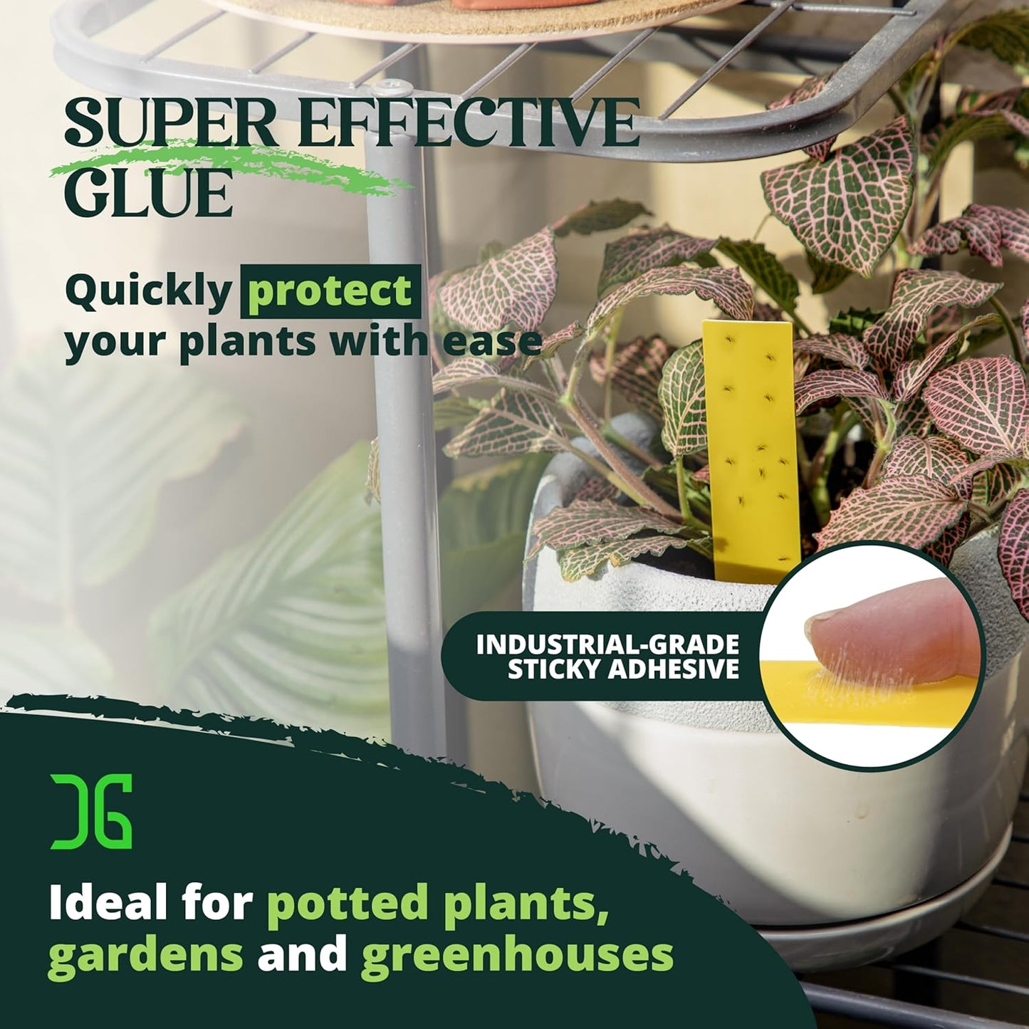 Catchmaster Dual Action Plant Labels 100 PK, Sticky Insect Trap Plant 