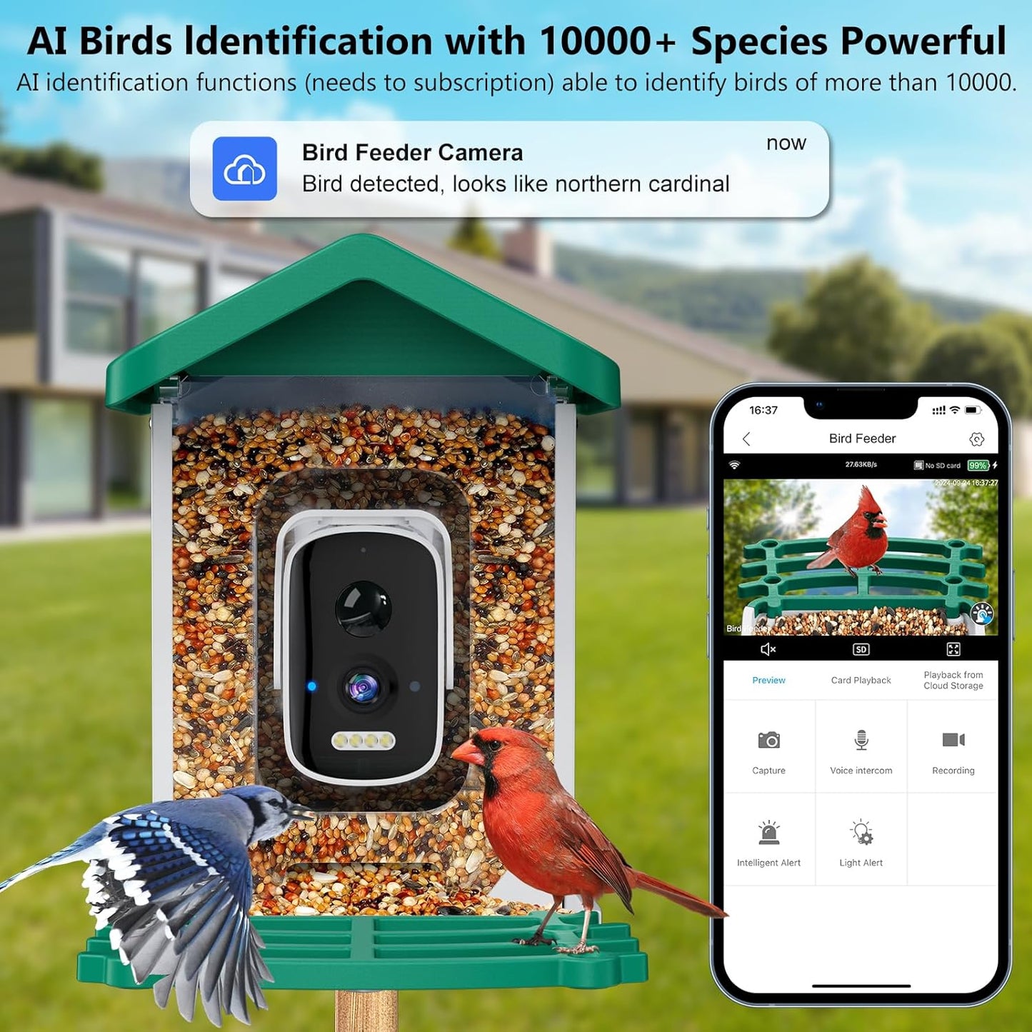 Smart Bird Feeder with Camera, AI Bird Species Identification Solar Po