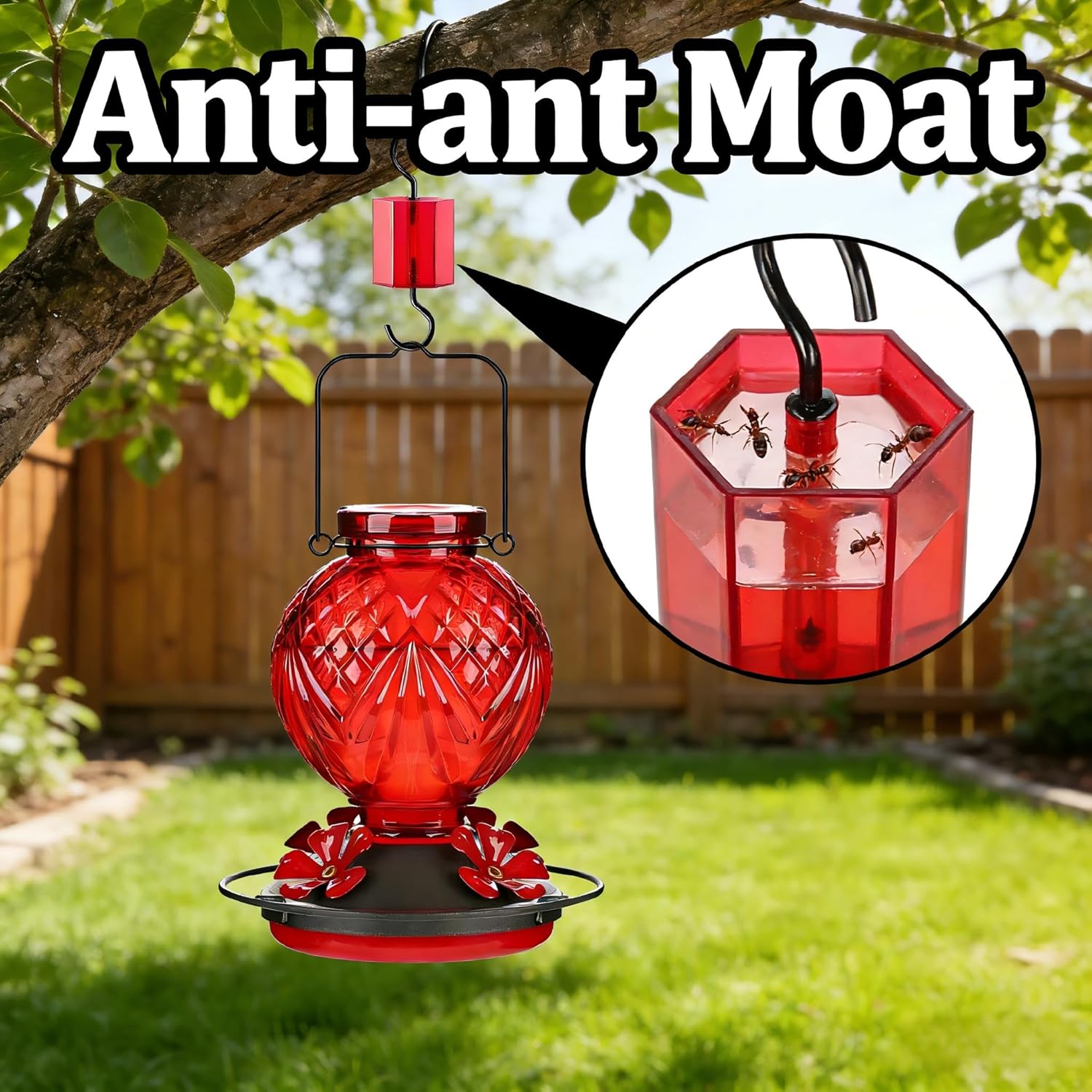 Glass Hummingbird Feeder for Outdoors Hanging, 20oz Bird Nectar Feeder