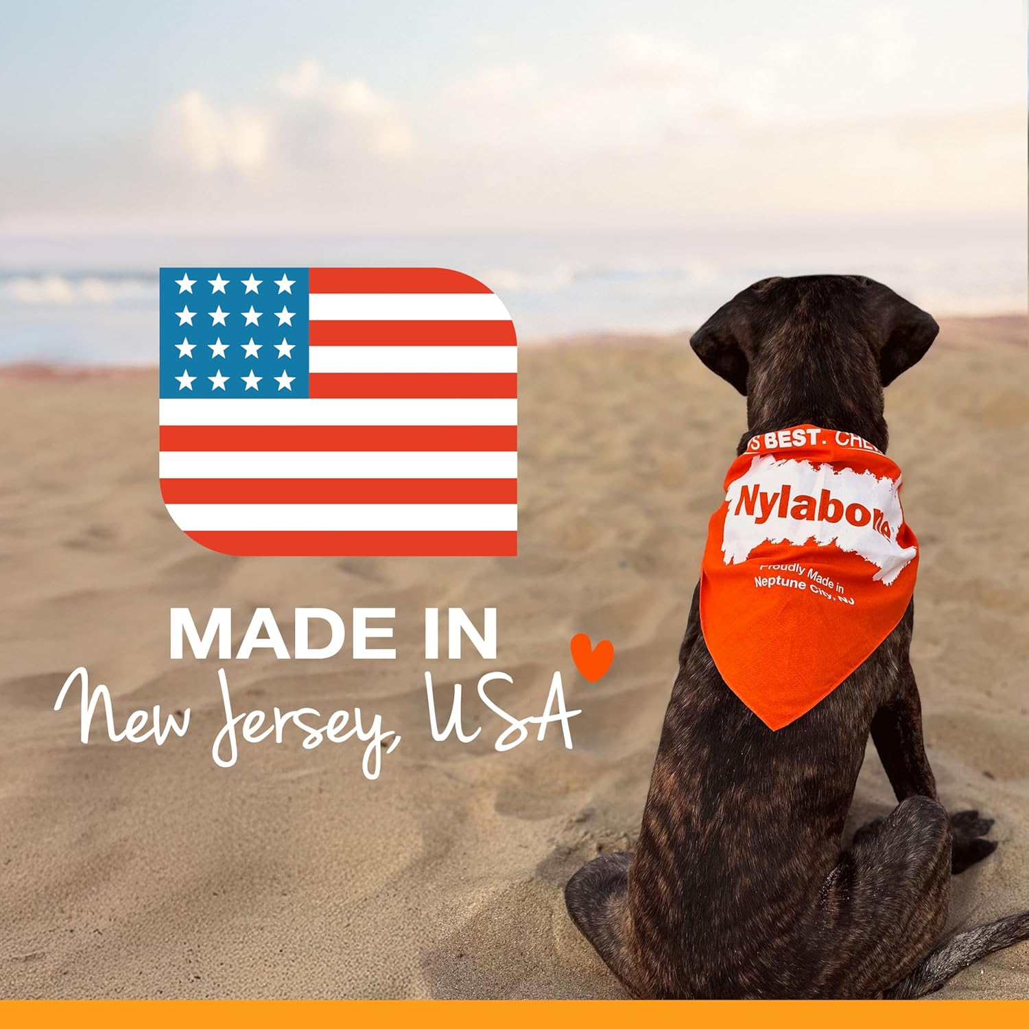 Nylabone Original Bone Power Chew Toy Value Pack for Dogs, Durable Dog
