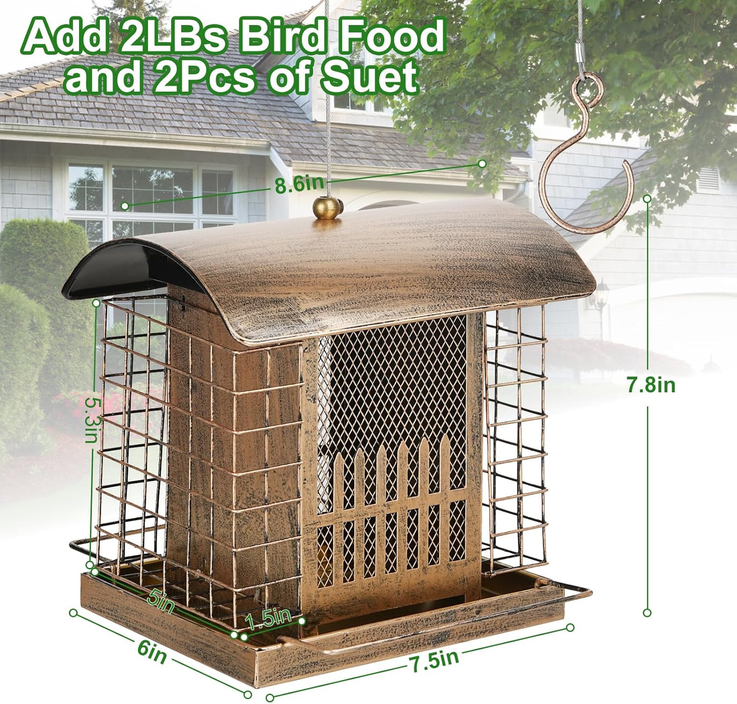 Suet Bird Feeder Outdoor Hanging with 2 Metal Mesh Cages - Attracts Wo