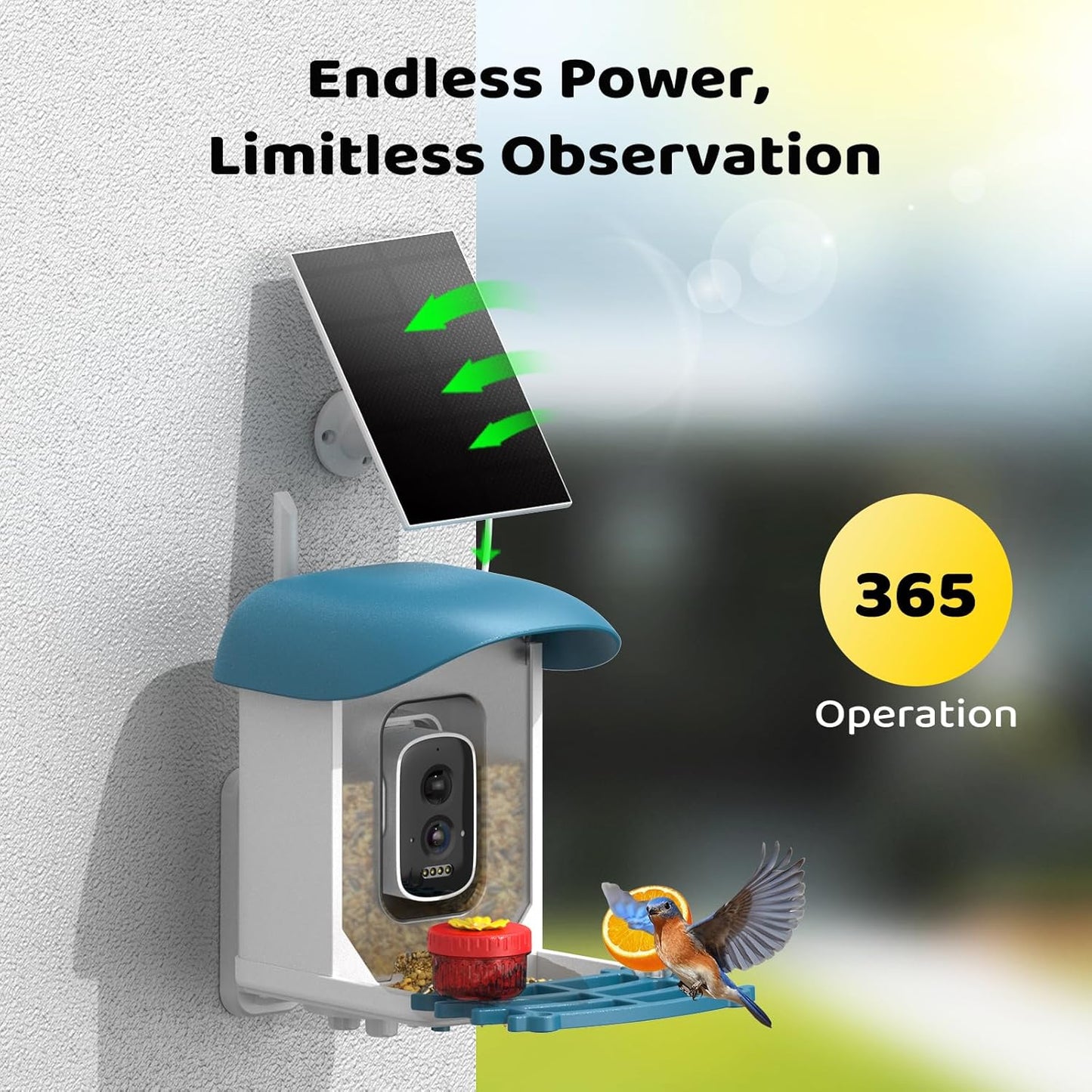 Bird Feeder with Camera 5MP Live Video, Solar Powered Smart AI Identify Birds Species, 2.4G WiFi Camera with Squirrel-Proof, 2-in-1 Bird Bath, Instant Arrival Alerts, Ideal Gifts for Birdlovers