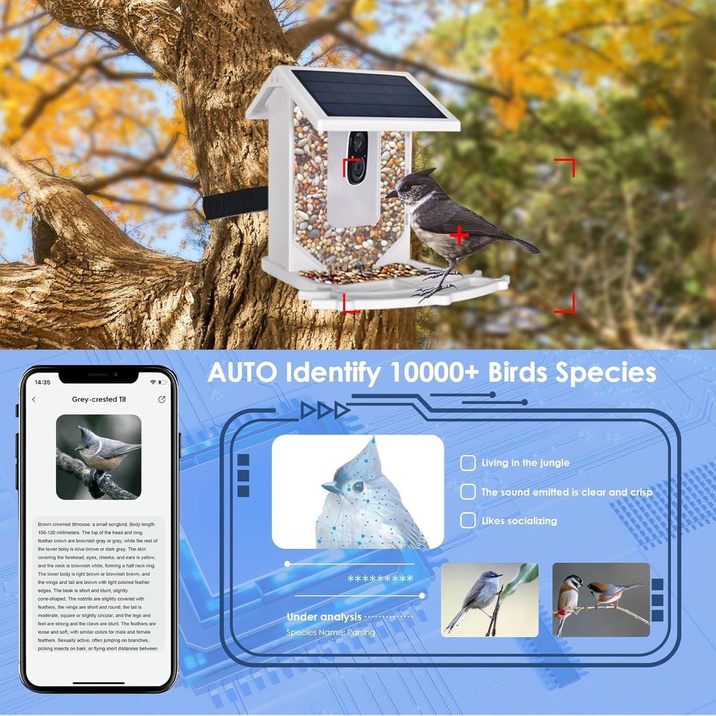 AIMOEST Smart Feeder with Camera, Outdoor Feeding House 2.5L Waterproof, Solar-Powered, HD Watching Cam with AI Identity, Instant Arrival Alert, Squirrel Proof