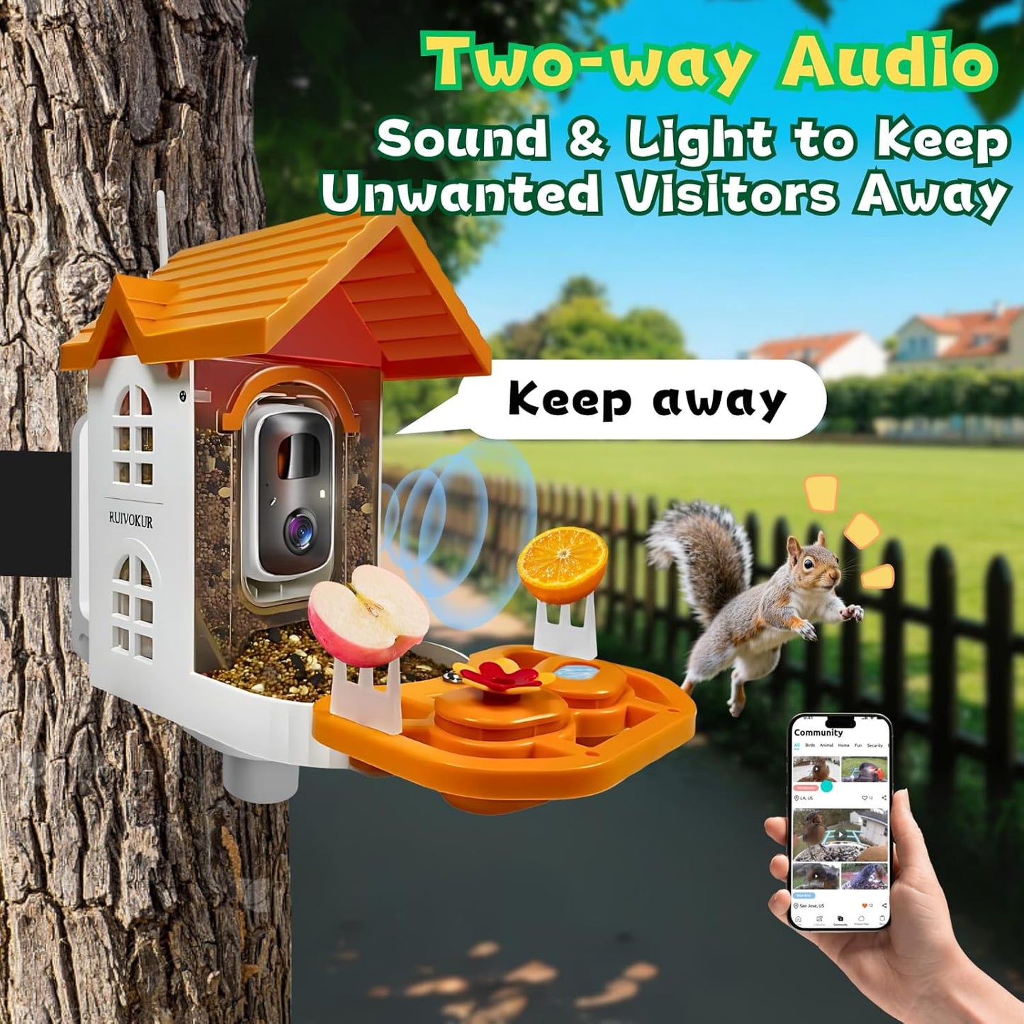 Smart Bird Feeder with Camera, 2.4GHz WiFi Watching Camera Bird Feeders for Outdoors Solar Powered, AI Identify 11,000 Birds Species, Instant Arrival Alerts, Auto Capture 2K HD Live Videos