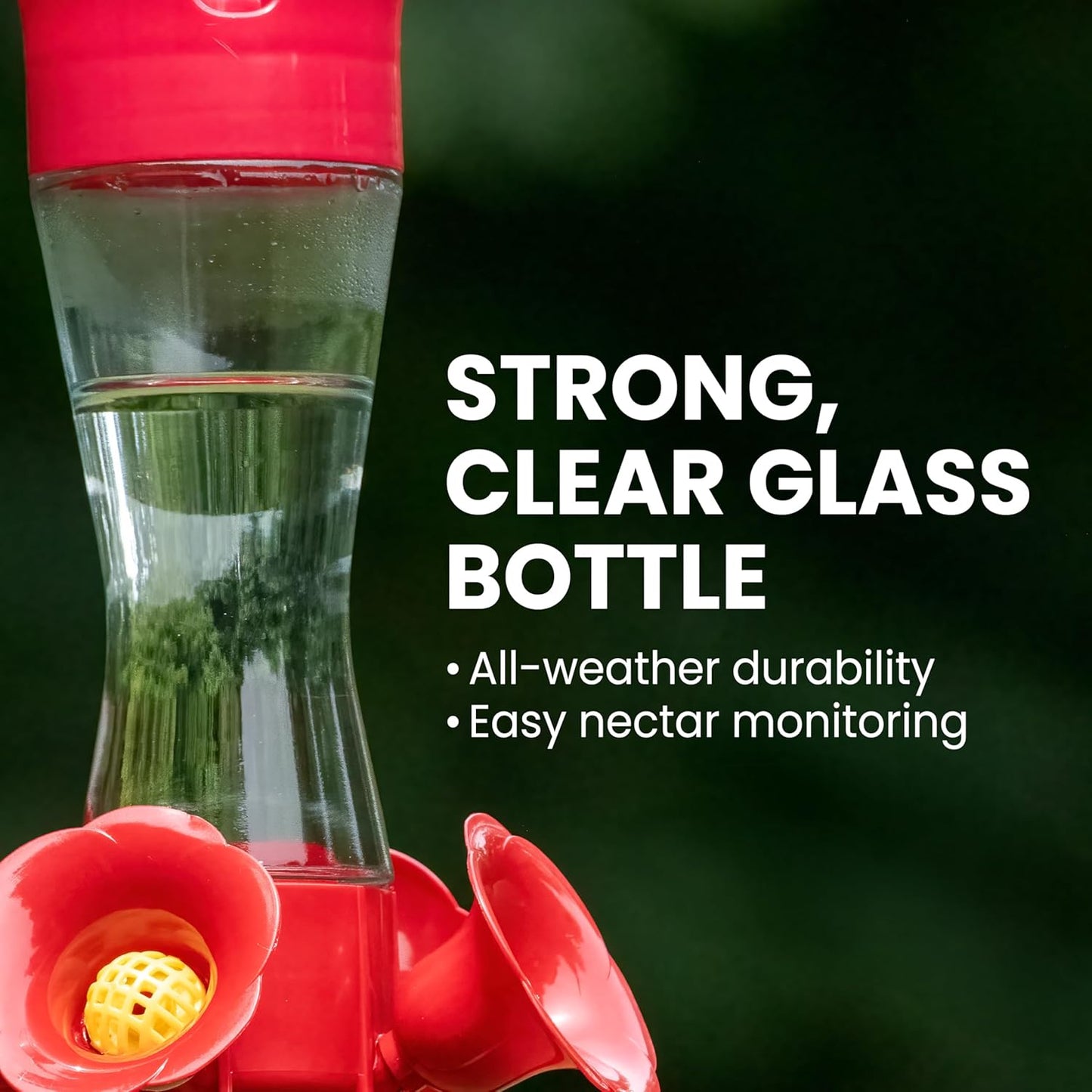 Perky-Pet 203CPBN-2 Glass Hummingbird Feeders for Outdoors with Perche