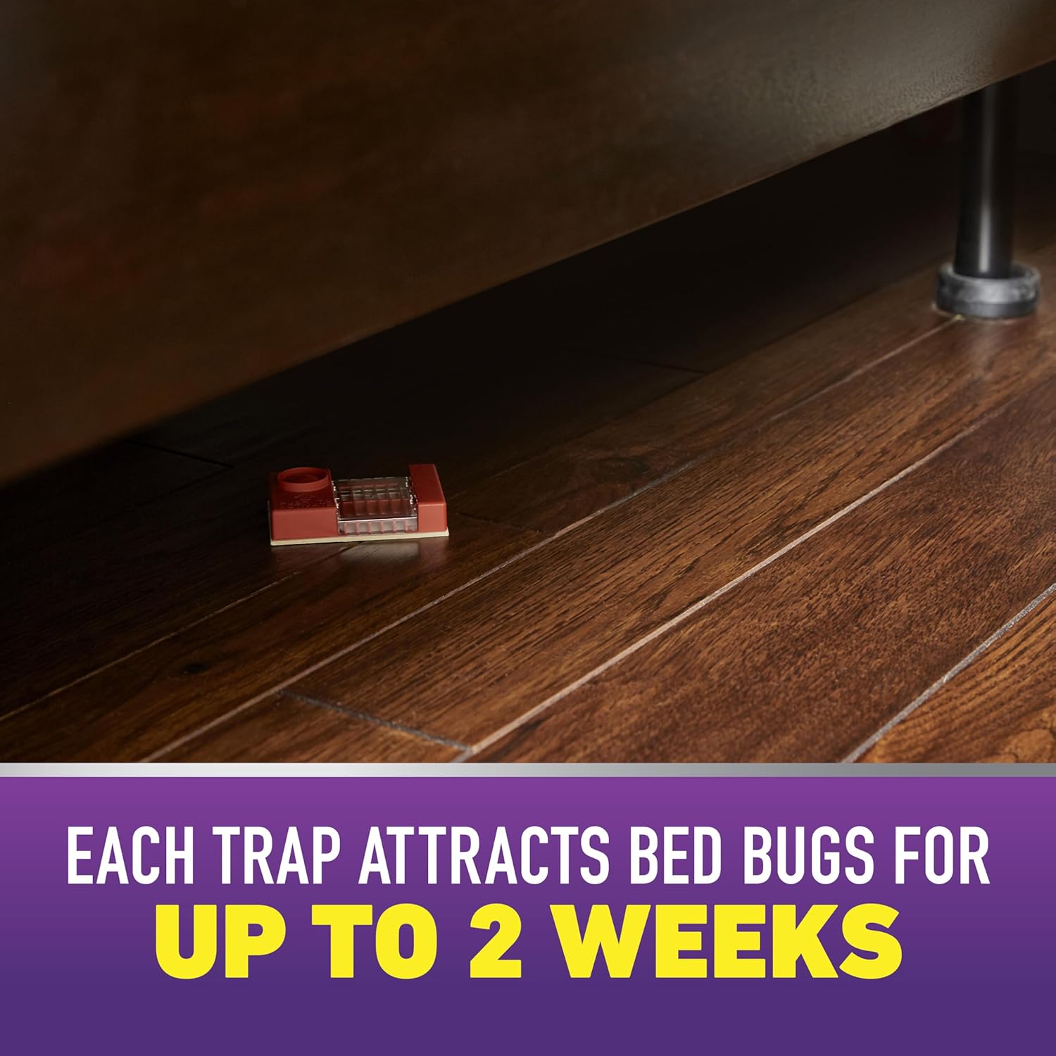 Ortho Home Defense Max Bed Bug Trap, Detect Bed Bugs in Homes and Whil