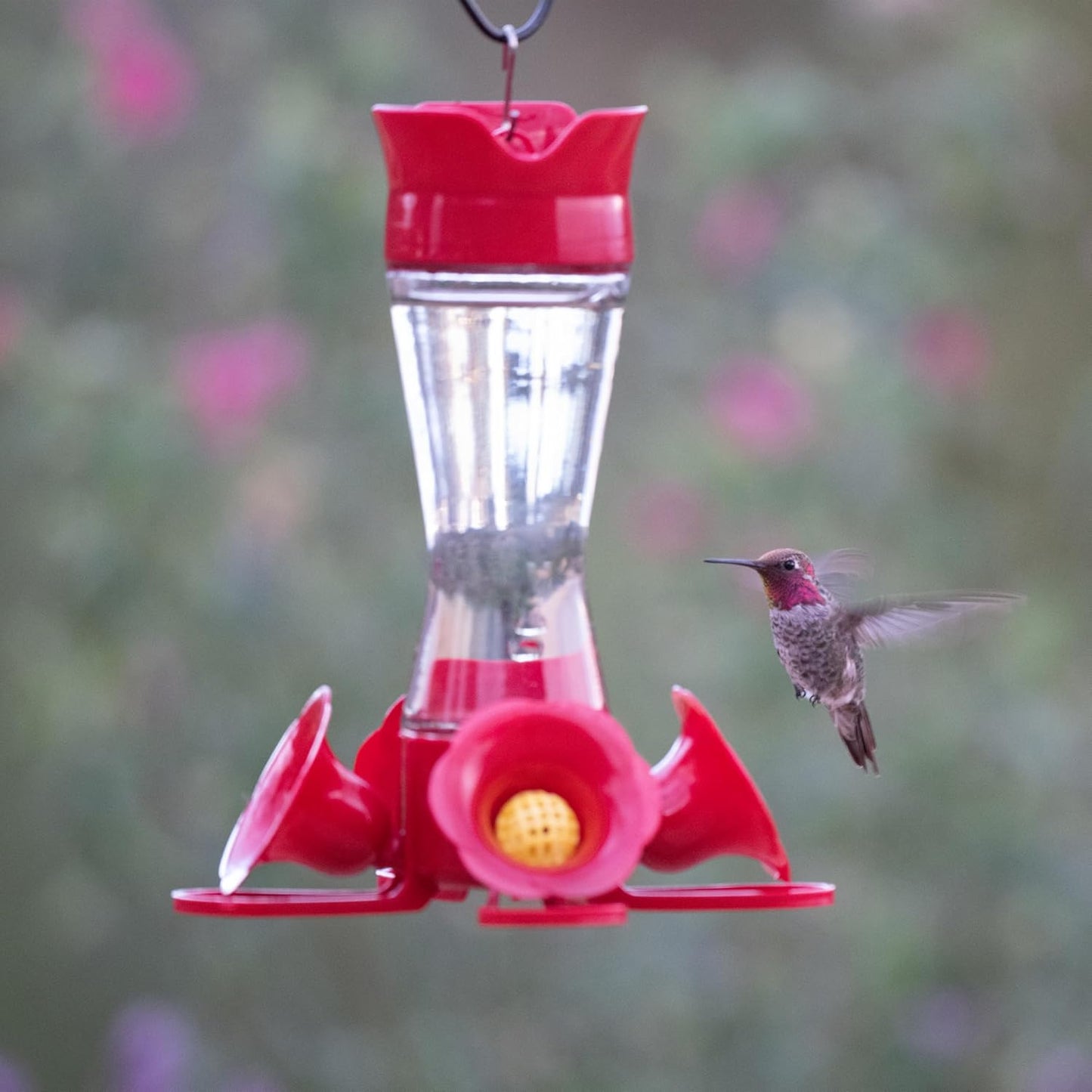 Perky-Pet 203CPBN-2 Pinch-Waist Glass Hummingbird Feeder with Perches,Built-in Ant Moat and Bee Guards-2 Count+Perky-Pet 522 Ready-to-Use Clear Hummingbird Nectar in 4Cans,16oz Recyclable Aluminum Can