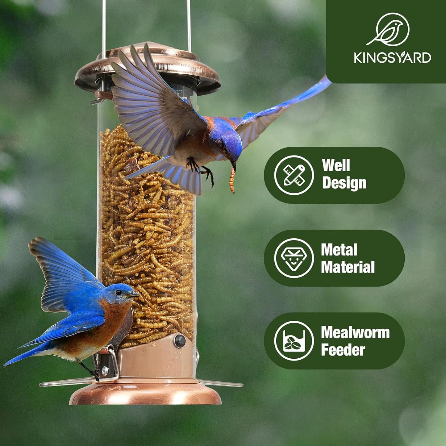 Kingsyard Upgraded Bluebird Feeder for Outdoors Hanging, Metal Mealworm Tube Bird Feeder with Widen Perch for Wild Birds, Squirrel Chew Proof, Easy to Refill & Clean(Copper)