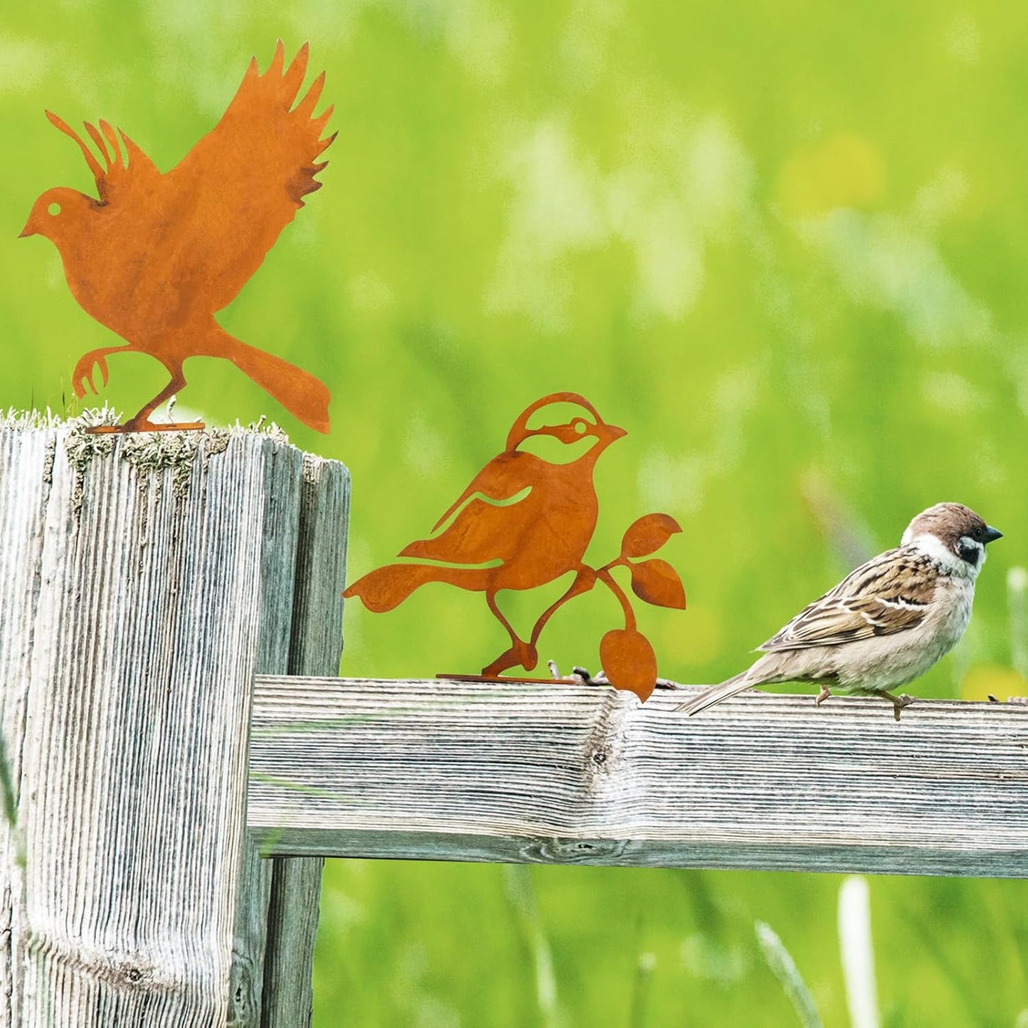 LhyBtm 5 Pcs Rusty Birds Decoration Silhouette with Rusty Patina Birds Decoration Outdoor Fence Decorations Lifelike Metal Birds Garden Ornaments Silhouette Rustic Outdoor Patio Yard Adornment